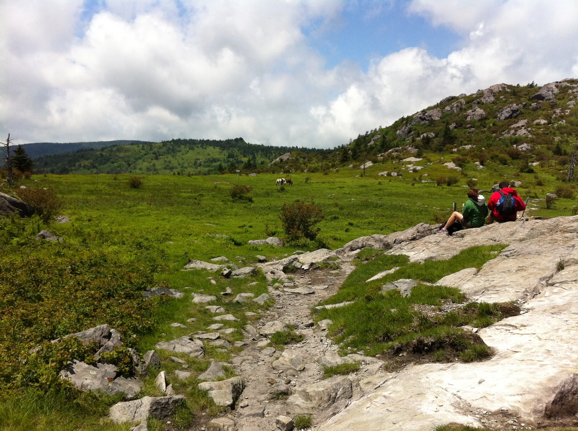 Photo on the Appalachian Trail near Mount Rogers, Virginia, June 3, 2012