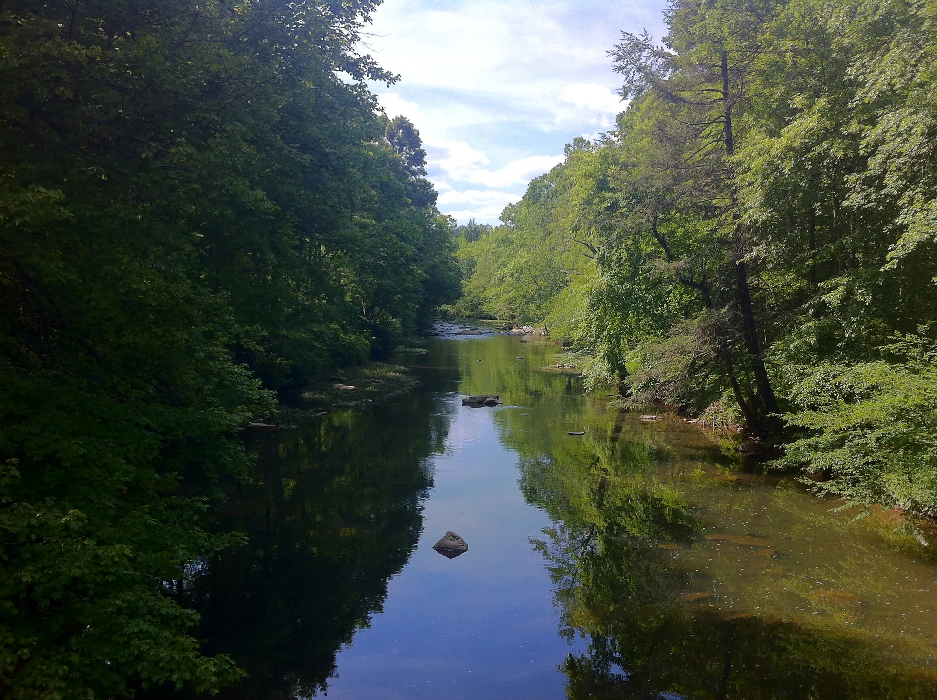 Photo on the Appalachian Trail near Pearisburg, Virginia, June 9, 2012