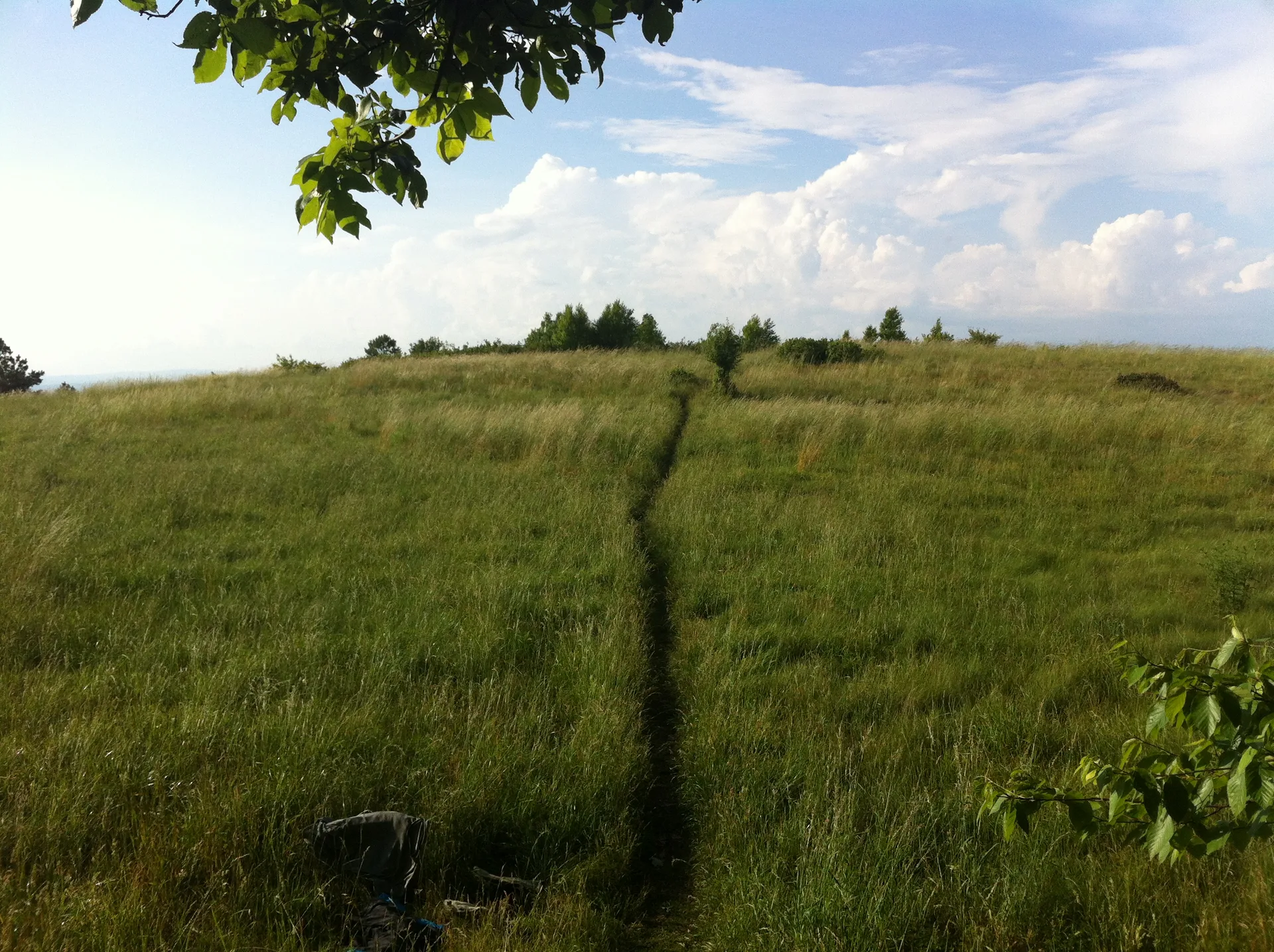 Photo on the Appalachian Trail near Pearisburg, Virginia, June 12, 2012