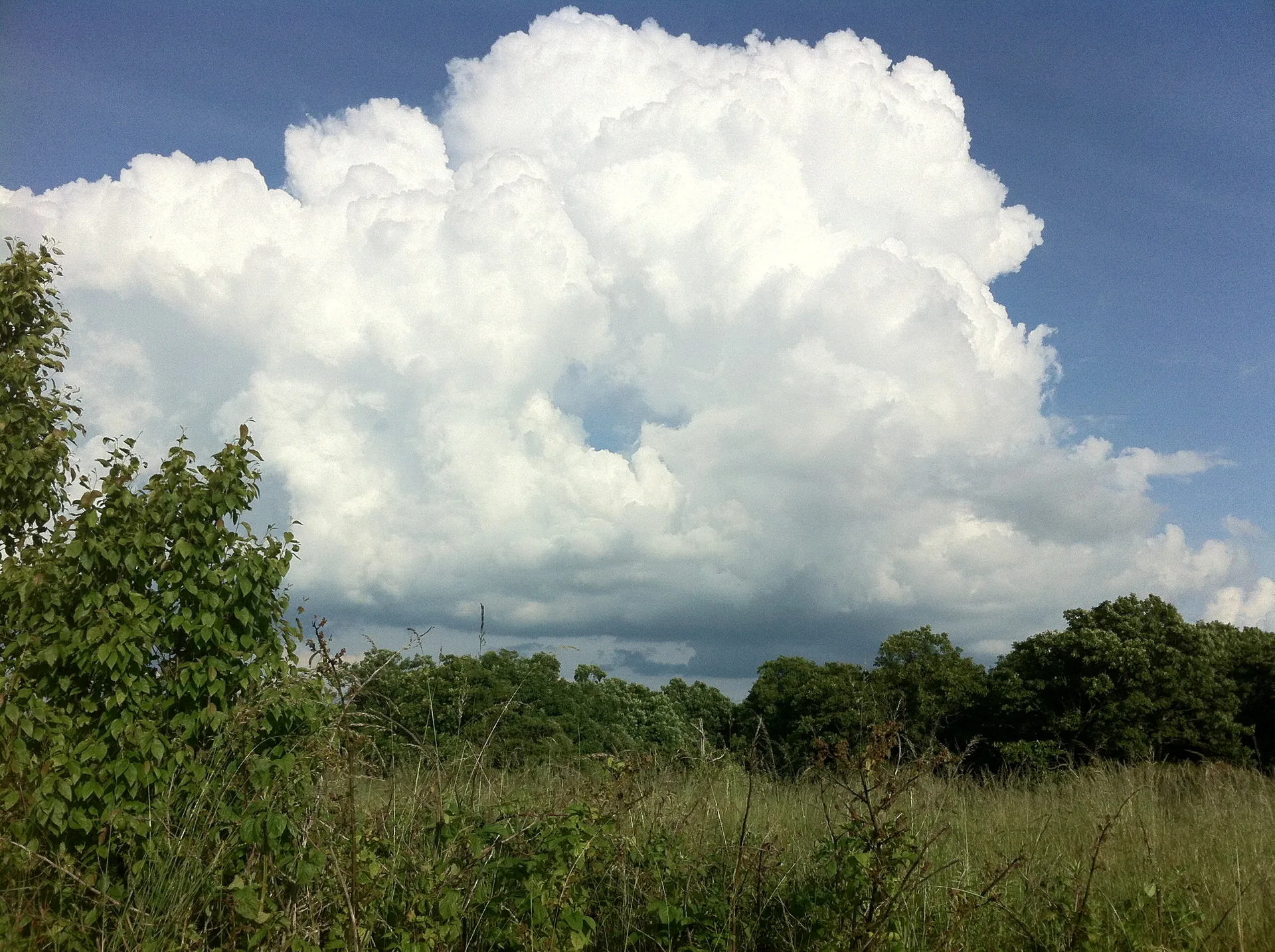 Photo on the Appalachian Trail near Pearisburg, Virginia, June 12, 2012