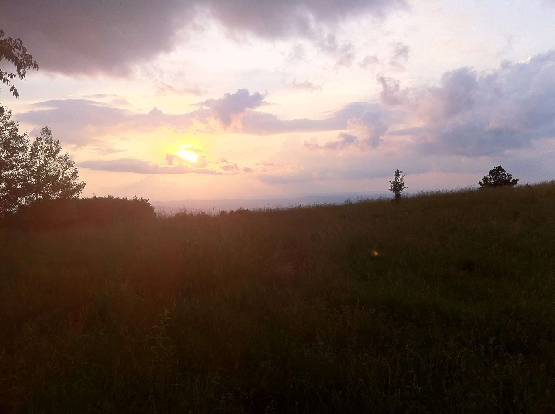 Photo on the Appalachian Trail near Pearisburg, Virginia, June 12, 2012
