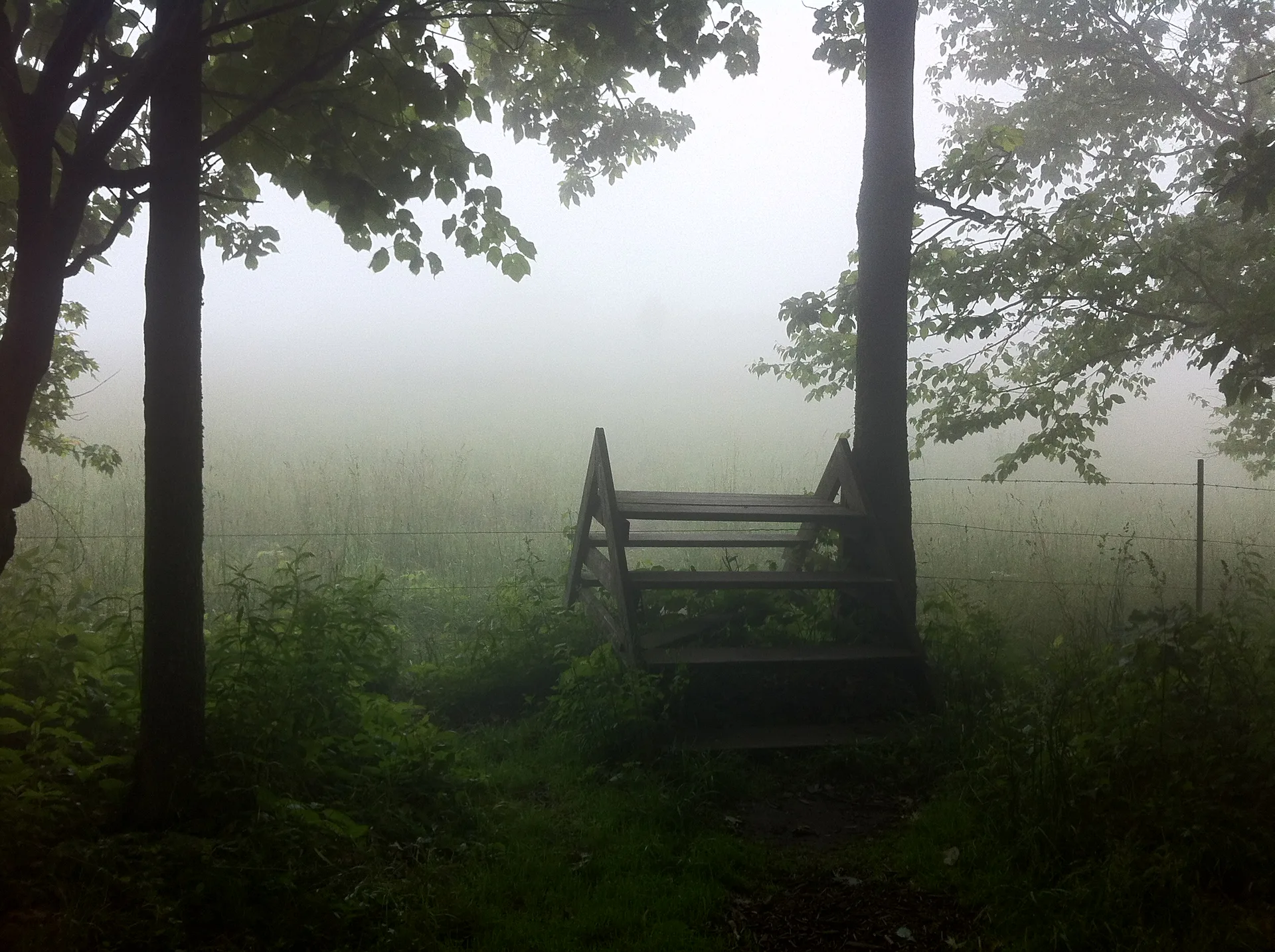 Photo on the Appalachian Trail near Pearisburg, Virginia, June 13, 2012