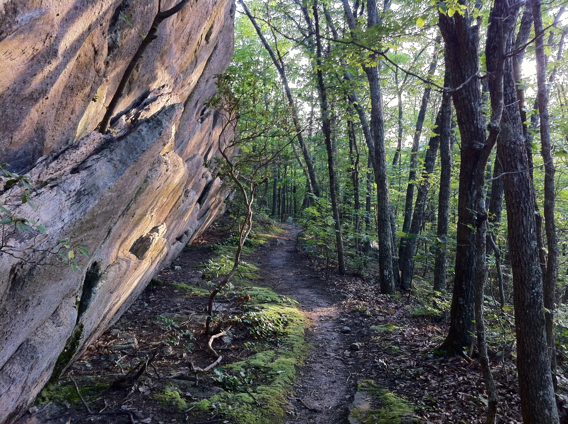 Photo on the Appalachian Trail near McAfee Knob, Virginia, June 16, 2012
