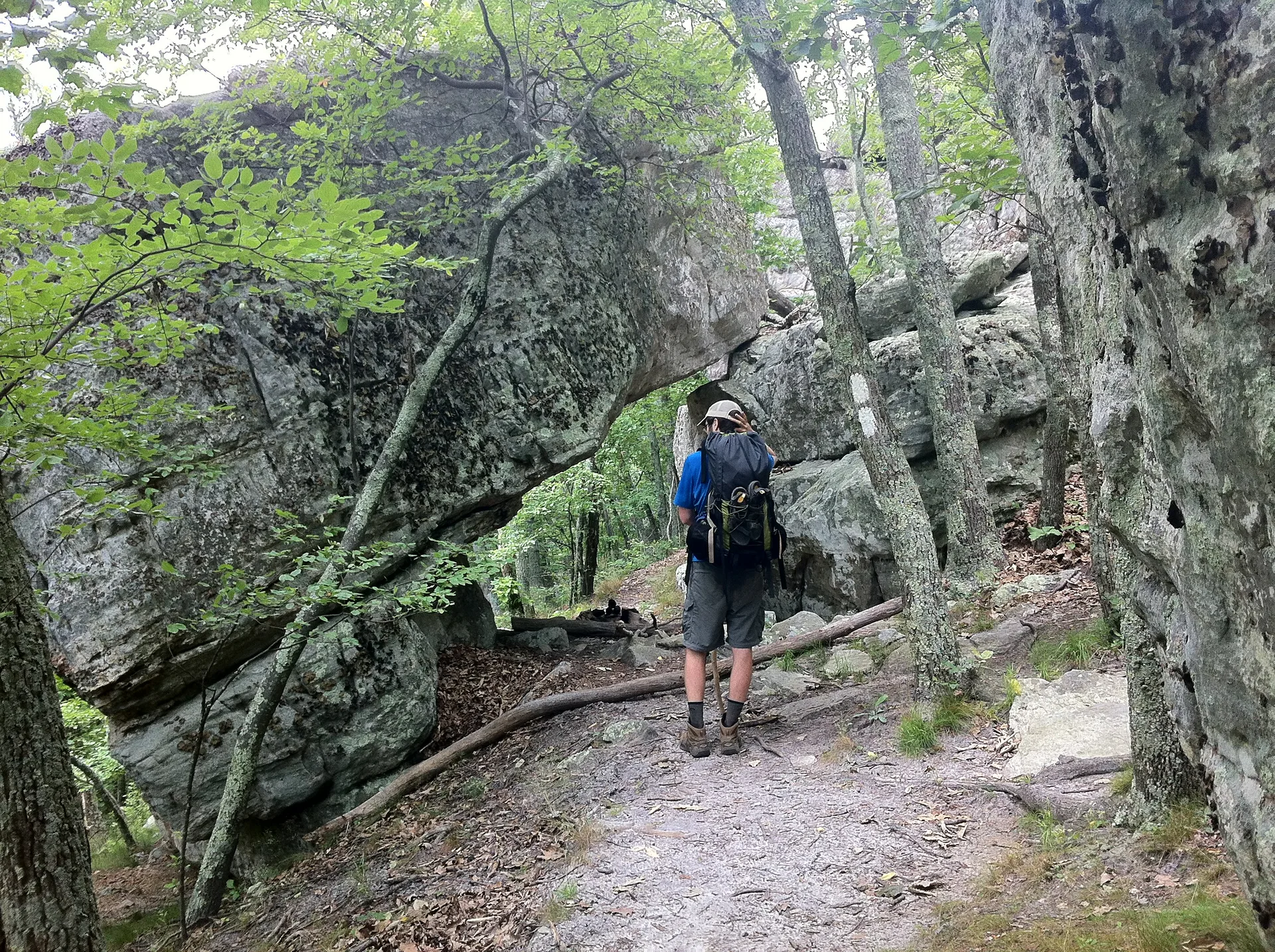 Photo on the Appalachian Trail near McAfee Knob, Virginia, June 17, 2012