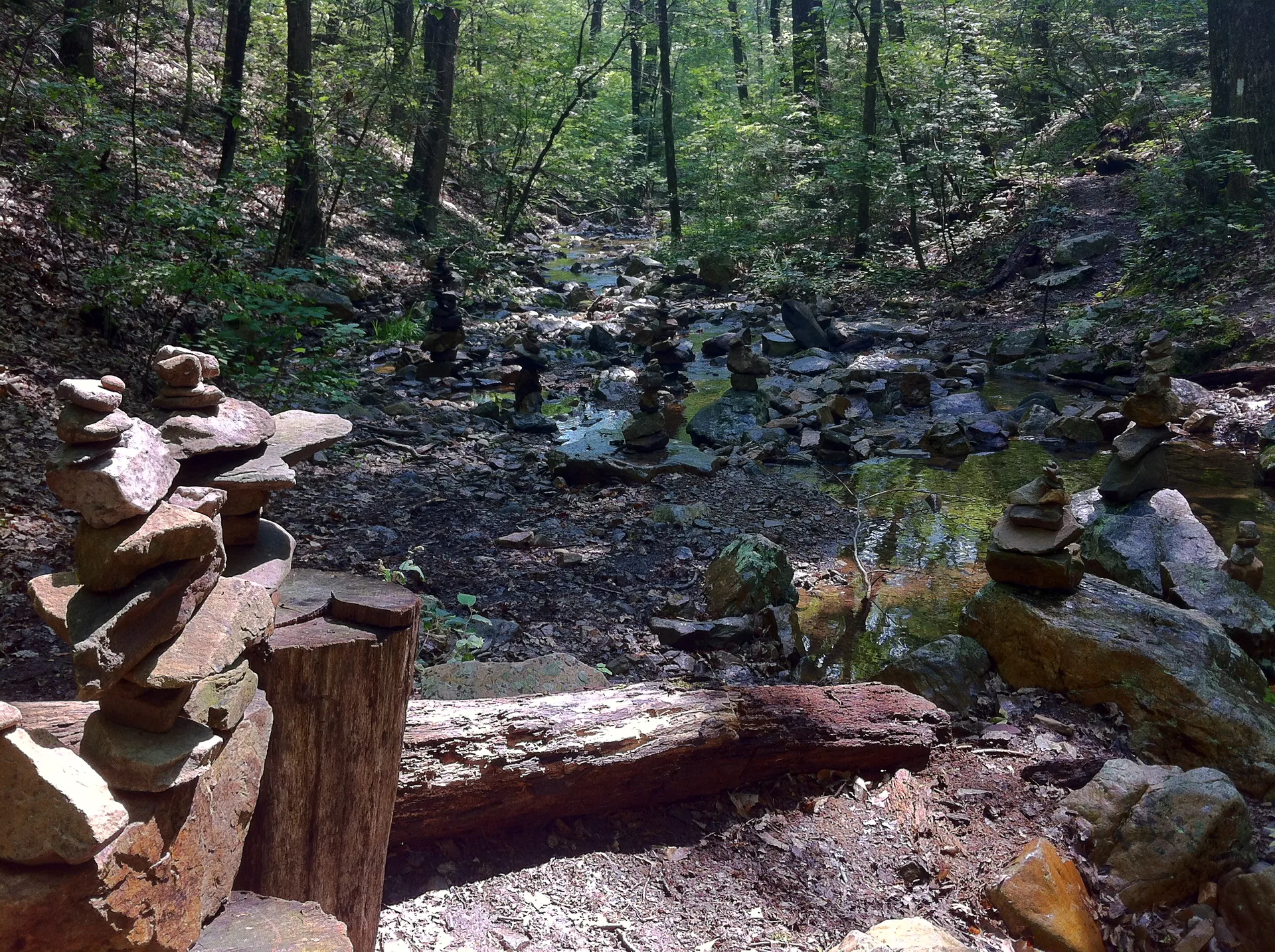Photo on the Appalachian Trail near Daleville, Virginia, June 18, 2012