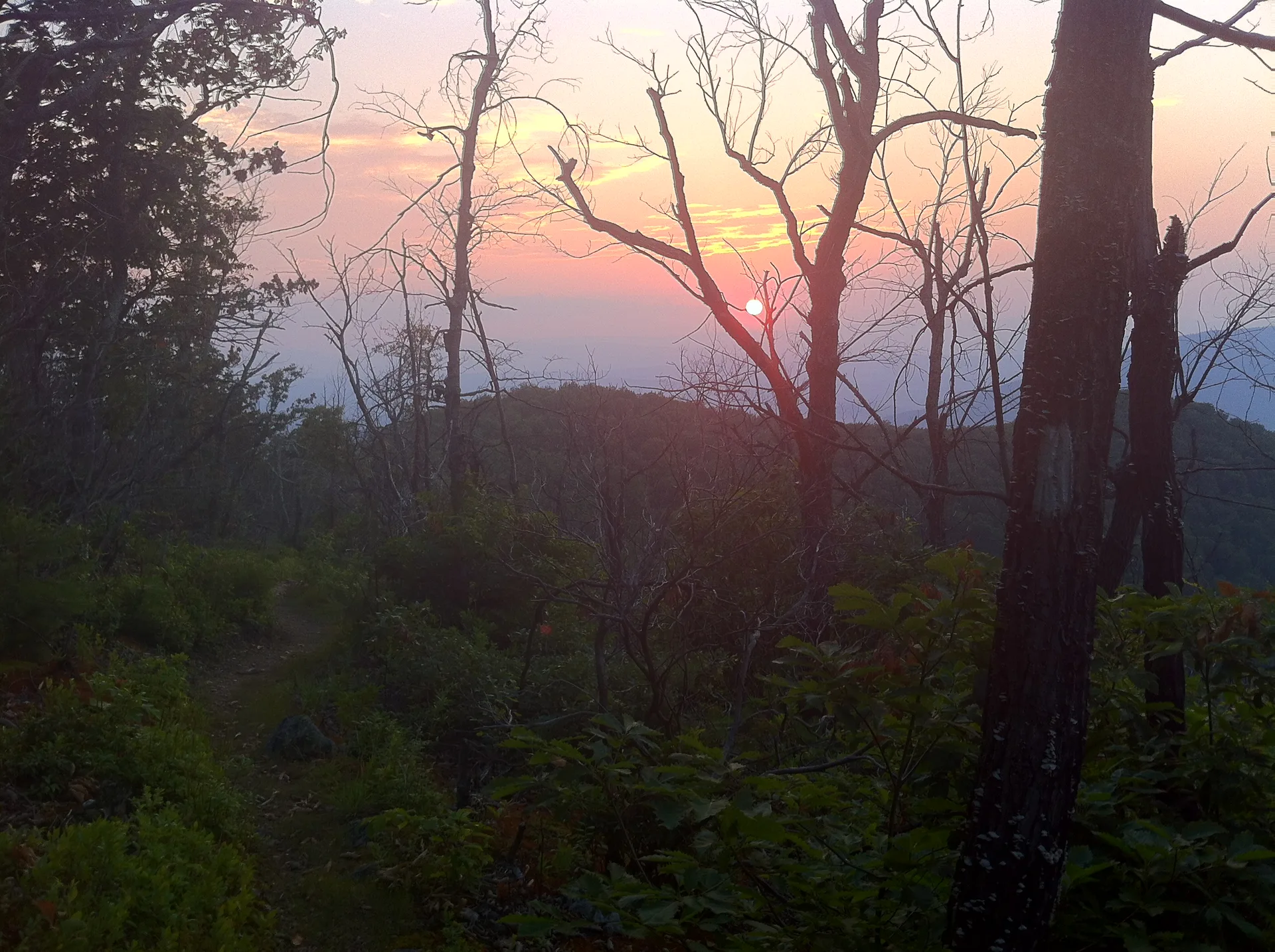 Photo on the Appalachian Trail near Daleville, Virginia, June 18, 2012
