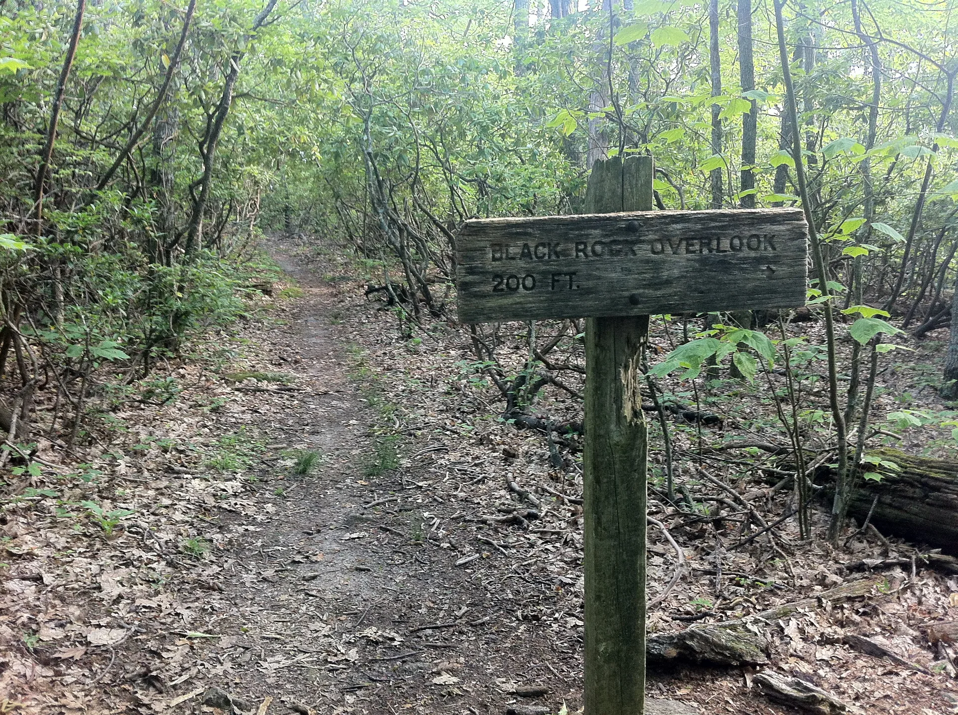 Photo on the Appalachian Trail near Daleville, Virginia, June 20, 2012