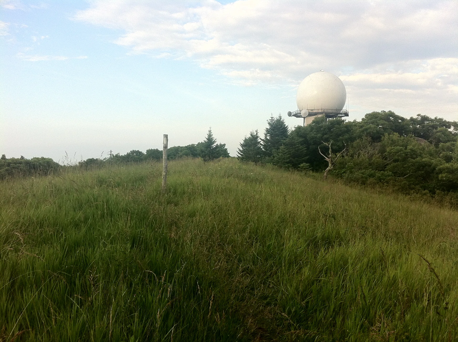 Photo on the Appalachian Trail near Daleville, Virginia, June 20, 2012