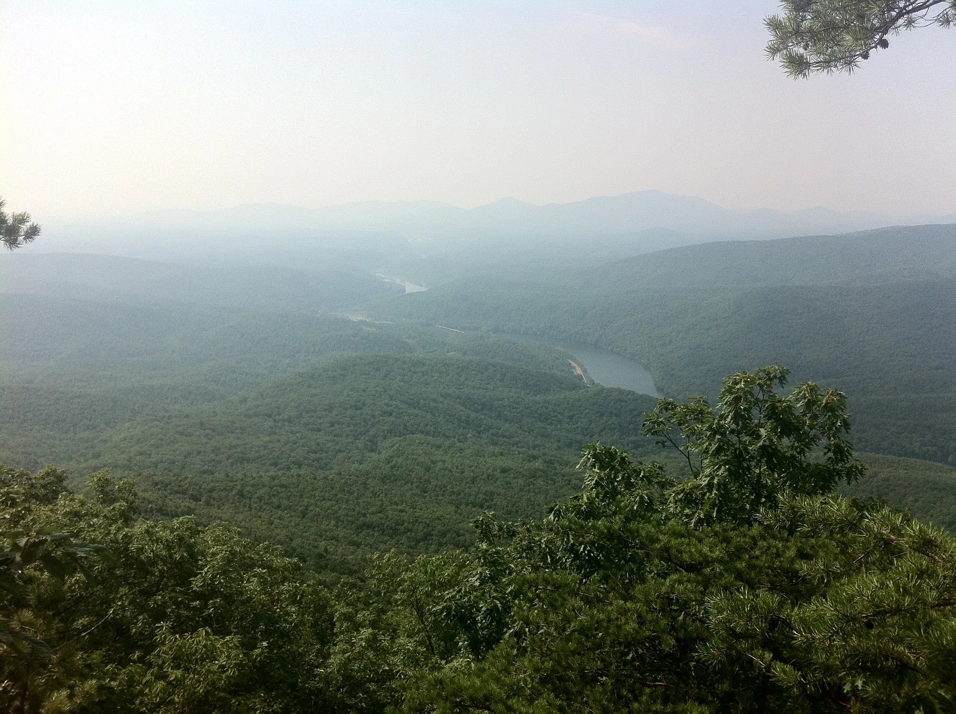 Photo on the Appalachian Trail near Daleville, Virginia, June 22, 2012
