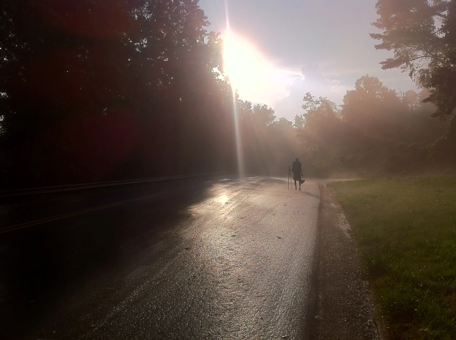 Photo on the Appalachian Trail near Daleville, Virginia, June 22, 2012