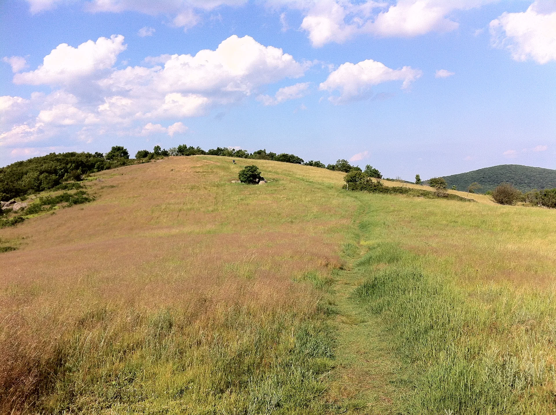 Photo on the Appalachian Trail near Waynesboro, Virginia, June 23, 2012