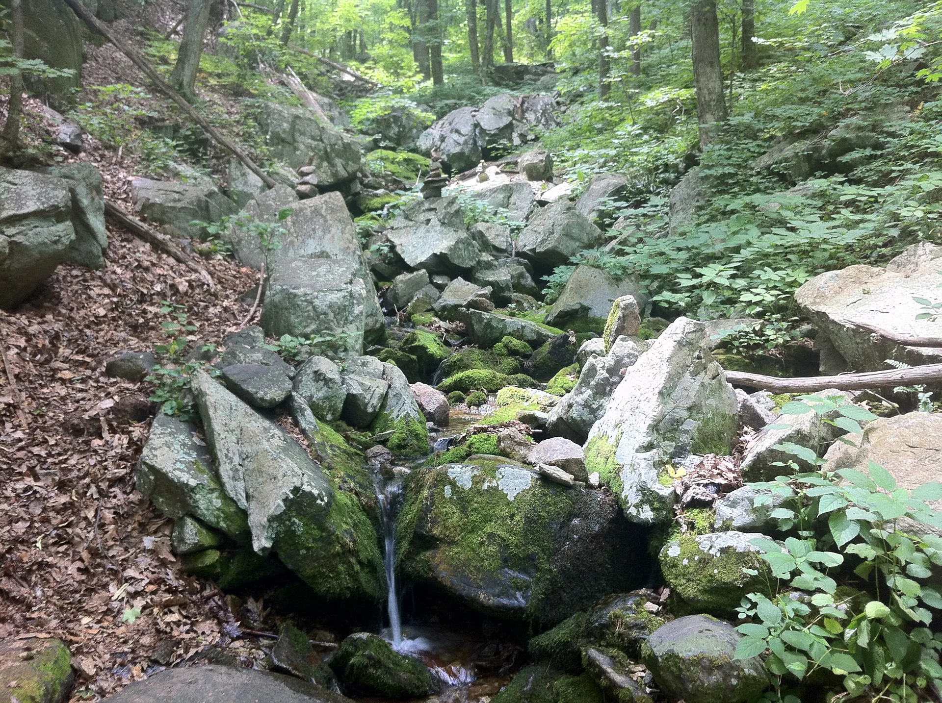 Photo on the Appalachian Trail near Waynesboro, Virginia, June 24, 2012