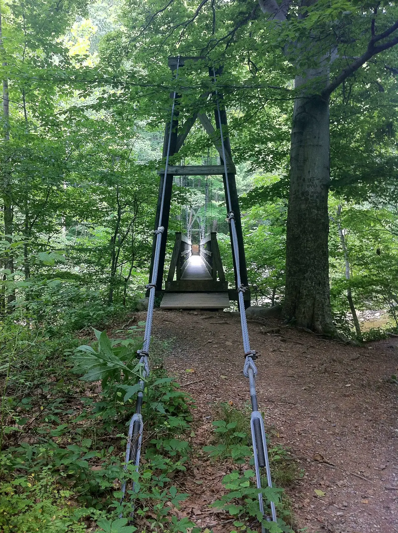 Photo on the Appalachian Trail near Waynesboro, Virginia, June 24, 2012