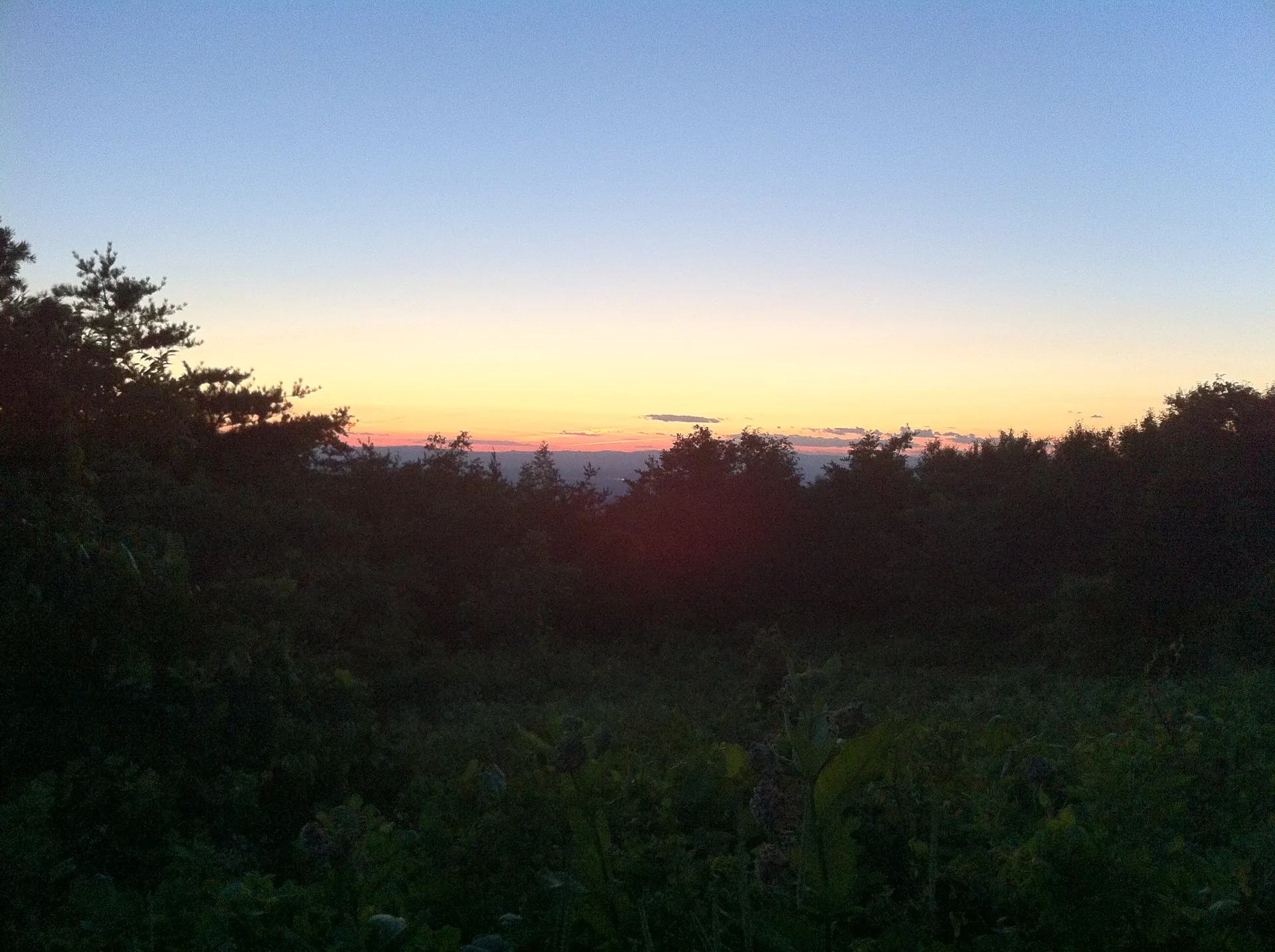 Photo on the Appalachian Trail near Waynesboro, Virginia, June 26, 2012