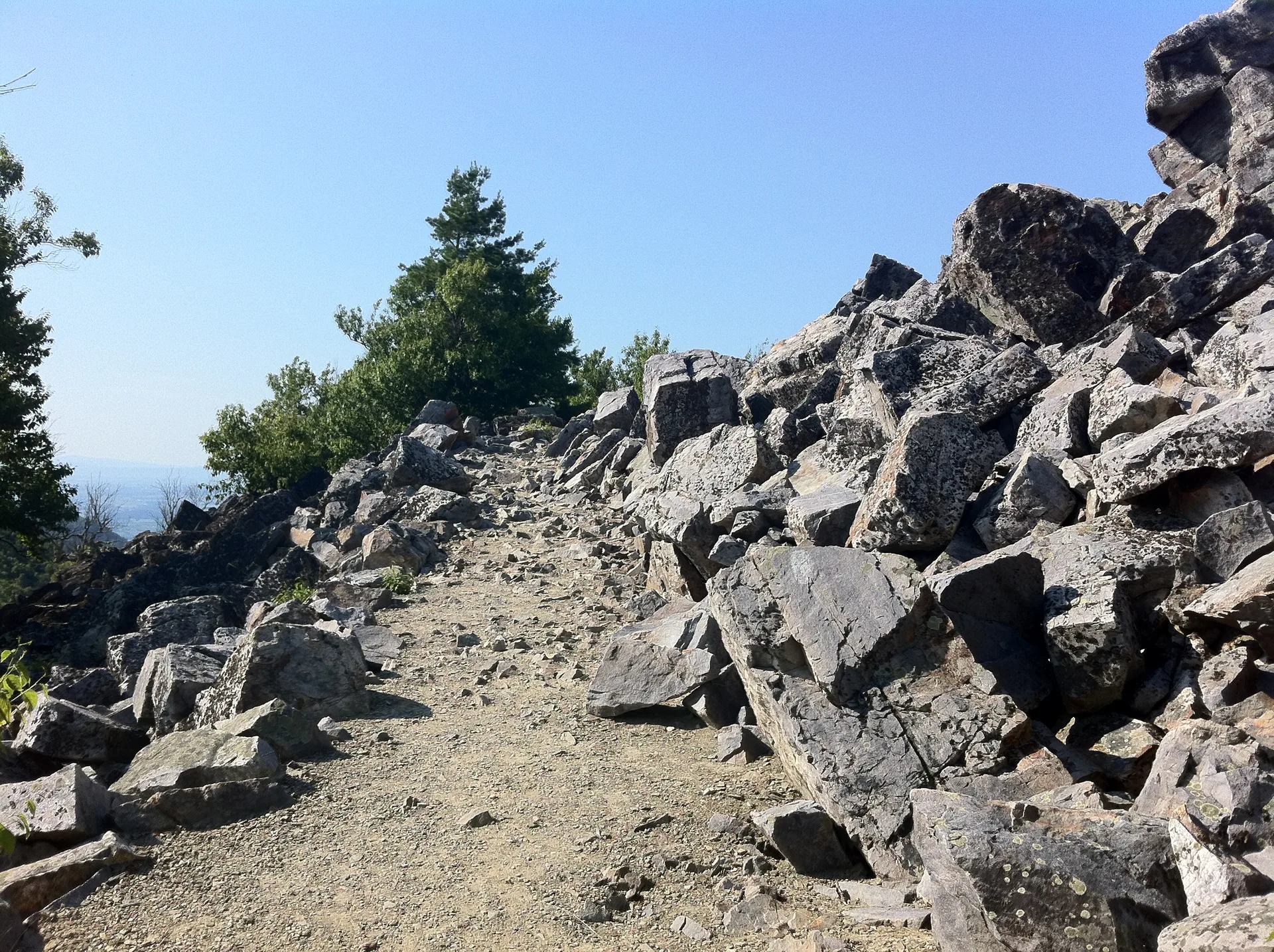 Photo on the Appalachian Trail near Waynesboro, Virginia, June 27, 2012