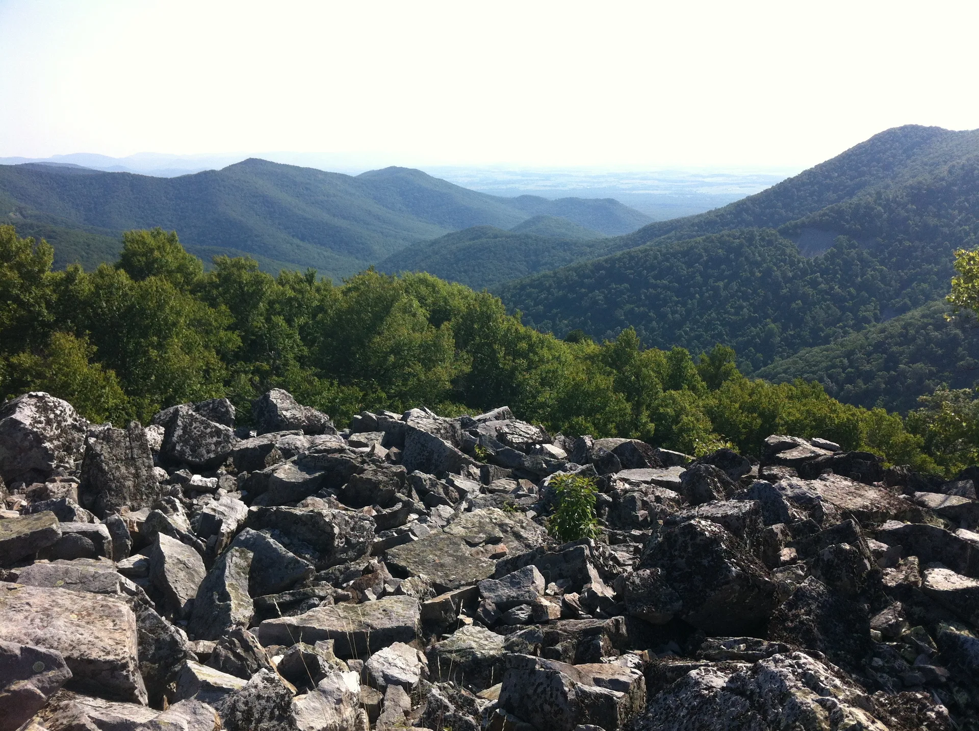 Photo on the Appalachian Trail near Waynesboro, Virginia, June 27, 2012