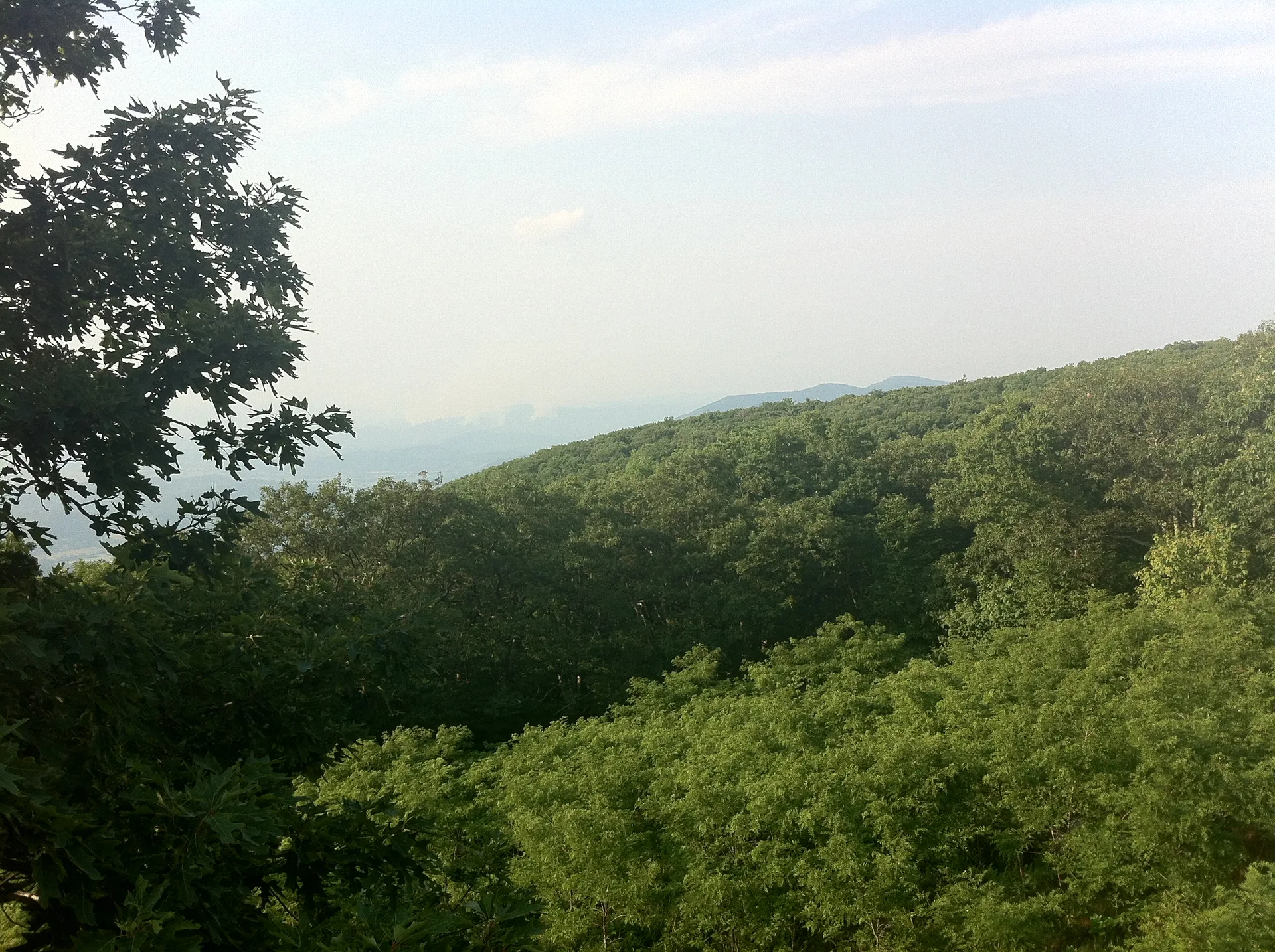 Photo on the Appalachian Trail near Shenandoah, Virginia, June 29, 2012
