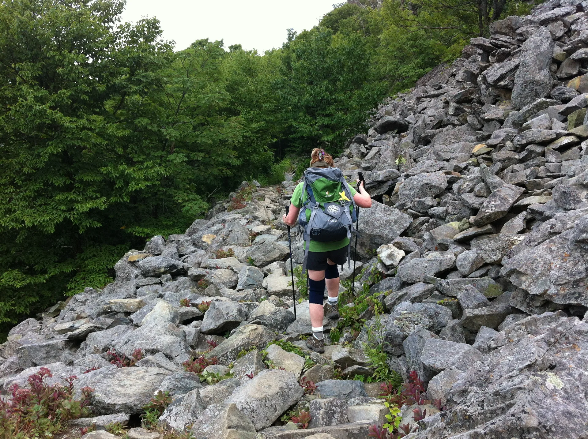 Photo on the Appalachian Trail near Shenandoah, Virginia, June 30, 2012