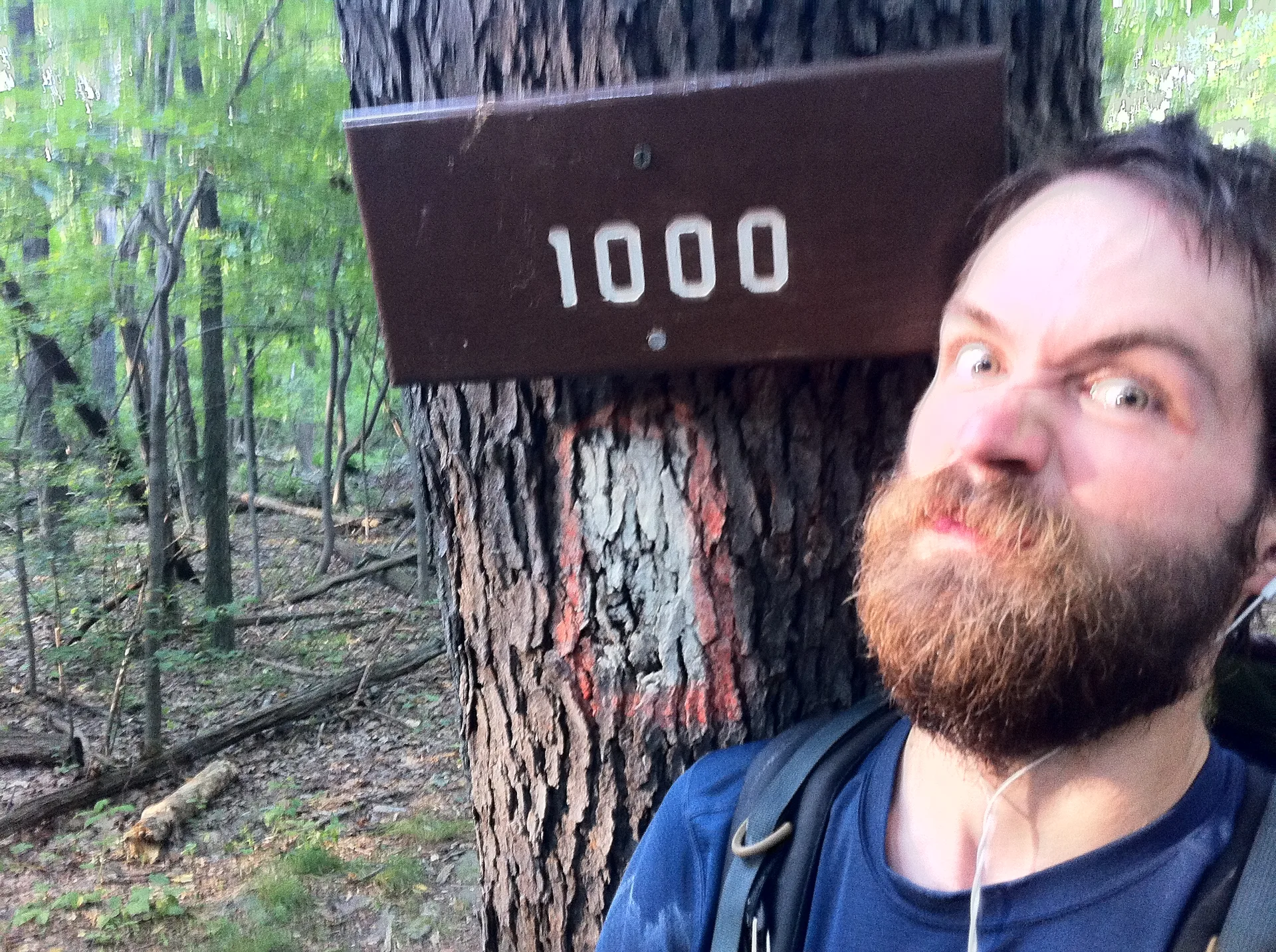 Photo on the Appalachian Trail near Front Royal, Virginia, July 4, 2012