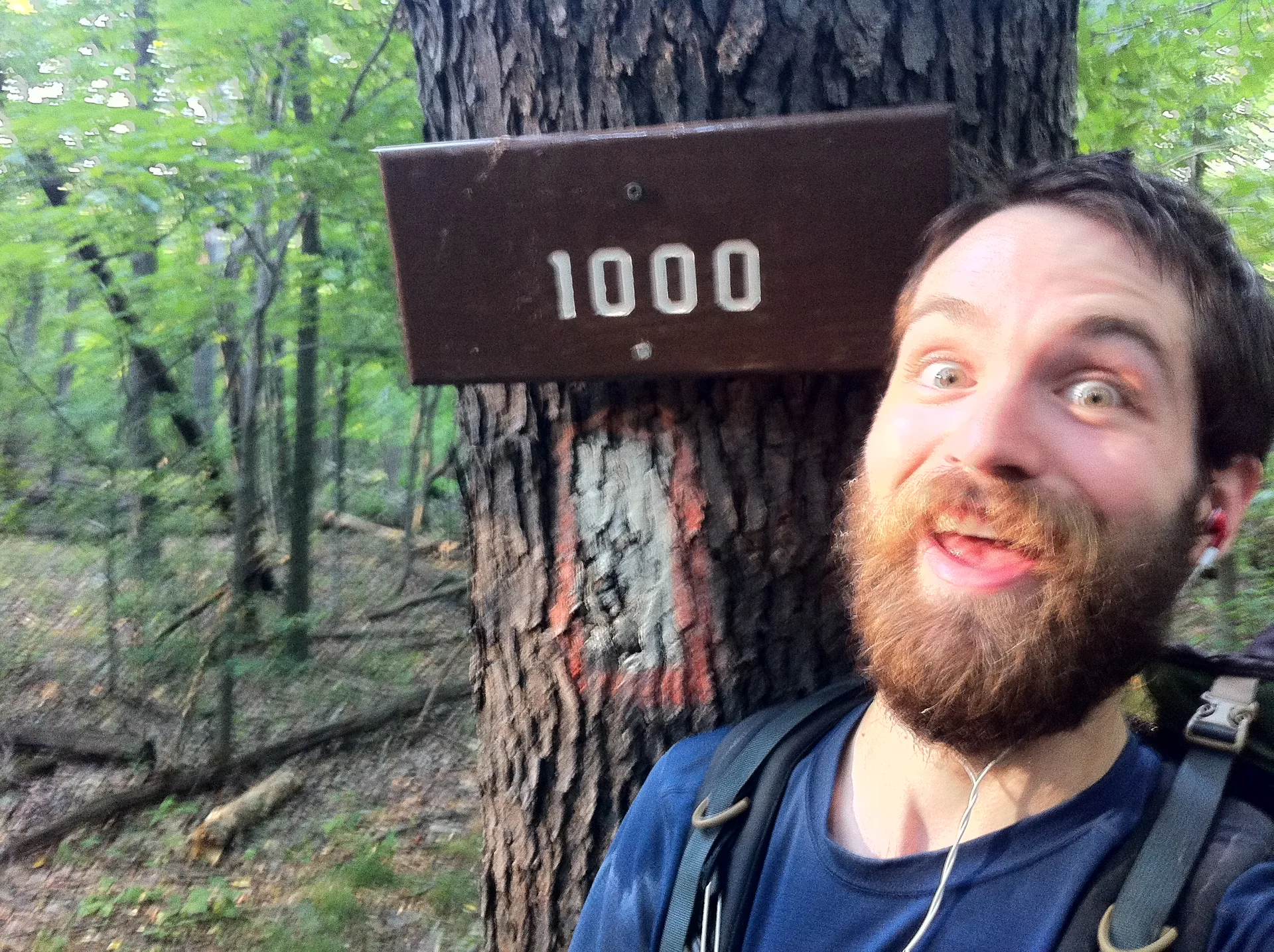 Photo on the Appalachian Trail near Front Royal, Virginia, July 4, 2012