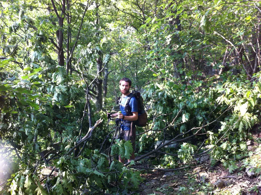 Photo on the Appalachian Trail near Harpers Ferry, Virginia, July 6, 2012