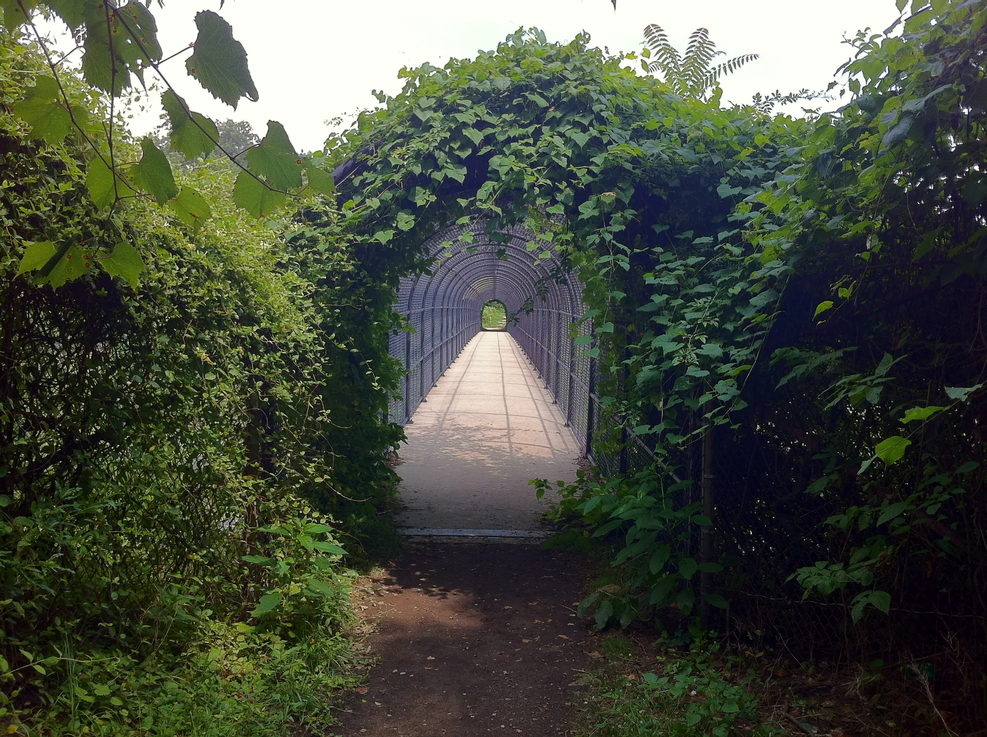 Photo on the Appalachian Trail near Harpers Ferry, West Virginia, July 10, 2012