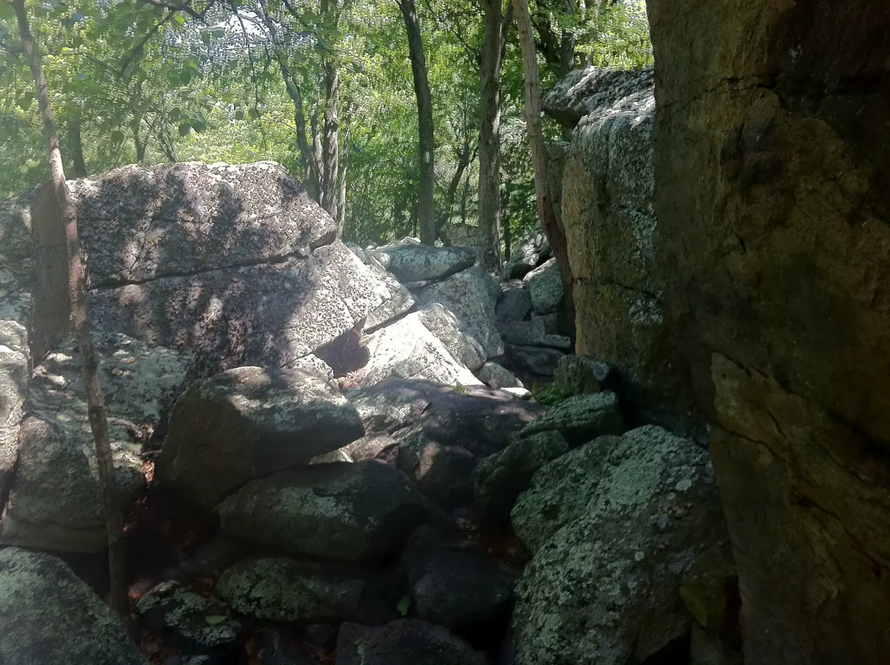 Photo on the Appalachian Trail near Pen Mar, Maryland, July 12, 2012