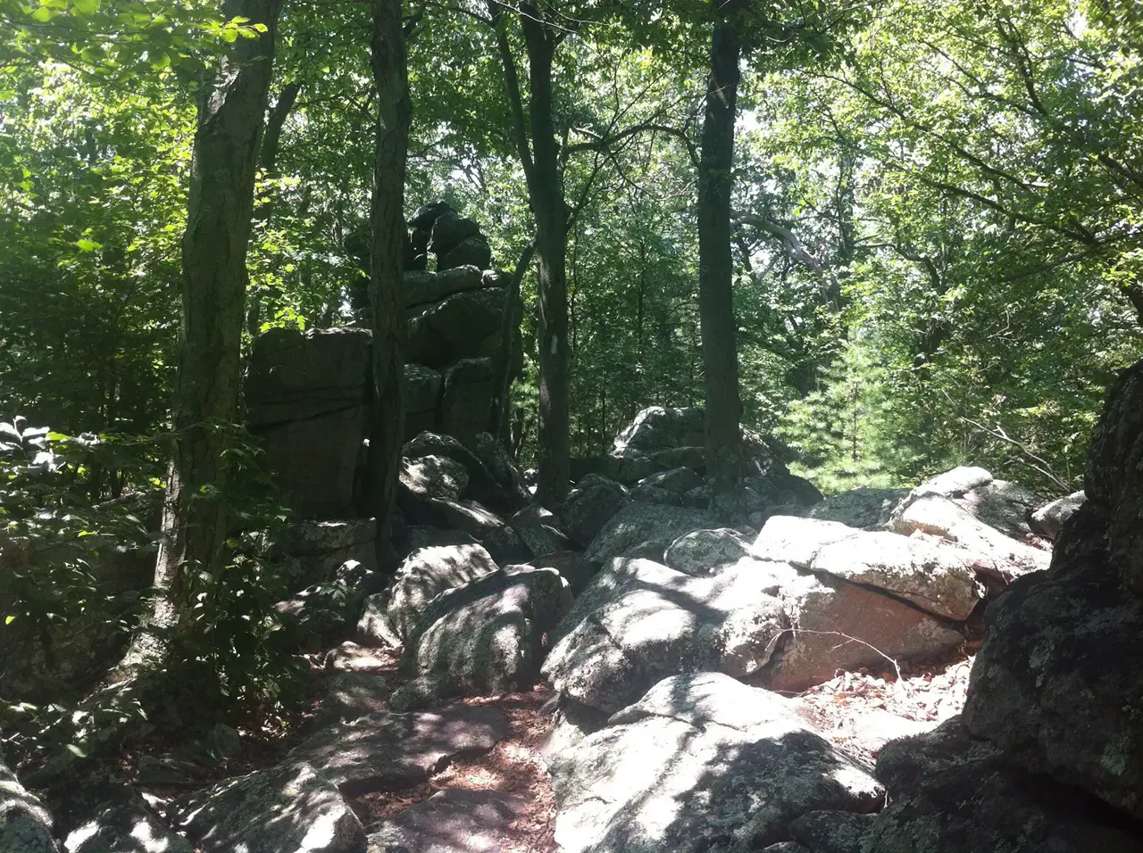Photo on the Appalachian Trail near Pen Mar, Maryland, July 12, 2012
