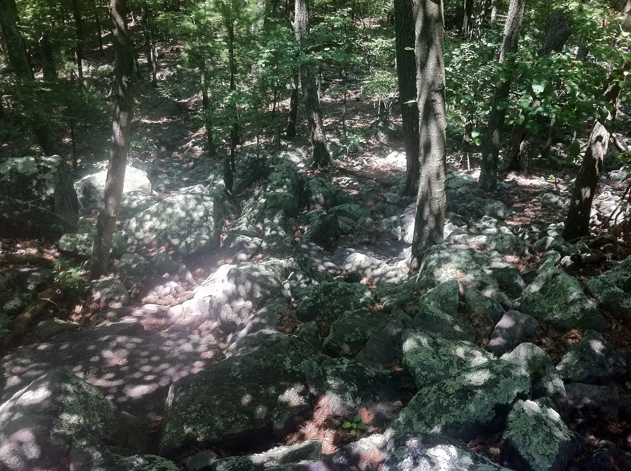 Photo on the Appalachian Trail near Pen Mar, Maryland, July 12, 2012