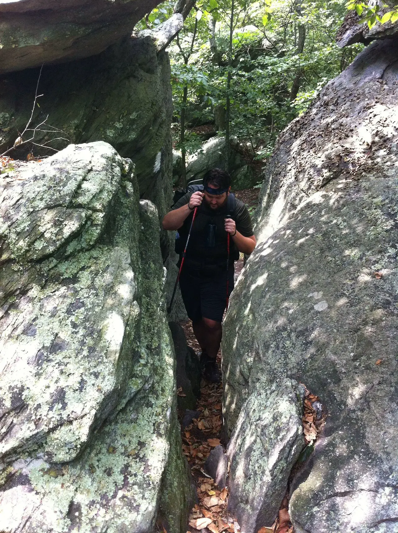 Photo on the Appalachian Trail near Boiling Springs, Maryland, July 28, 2012