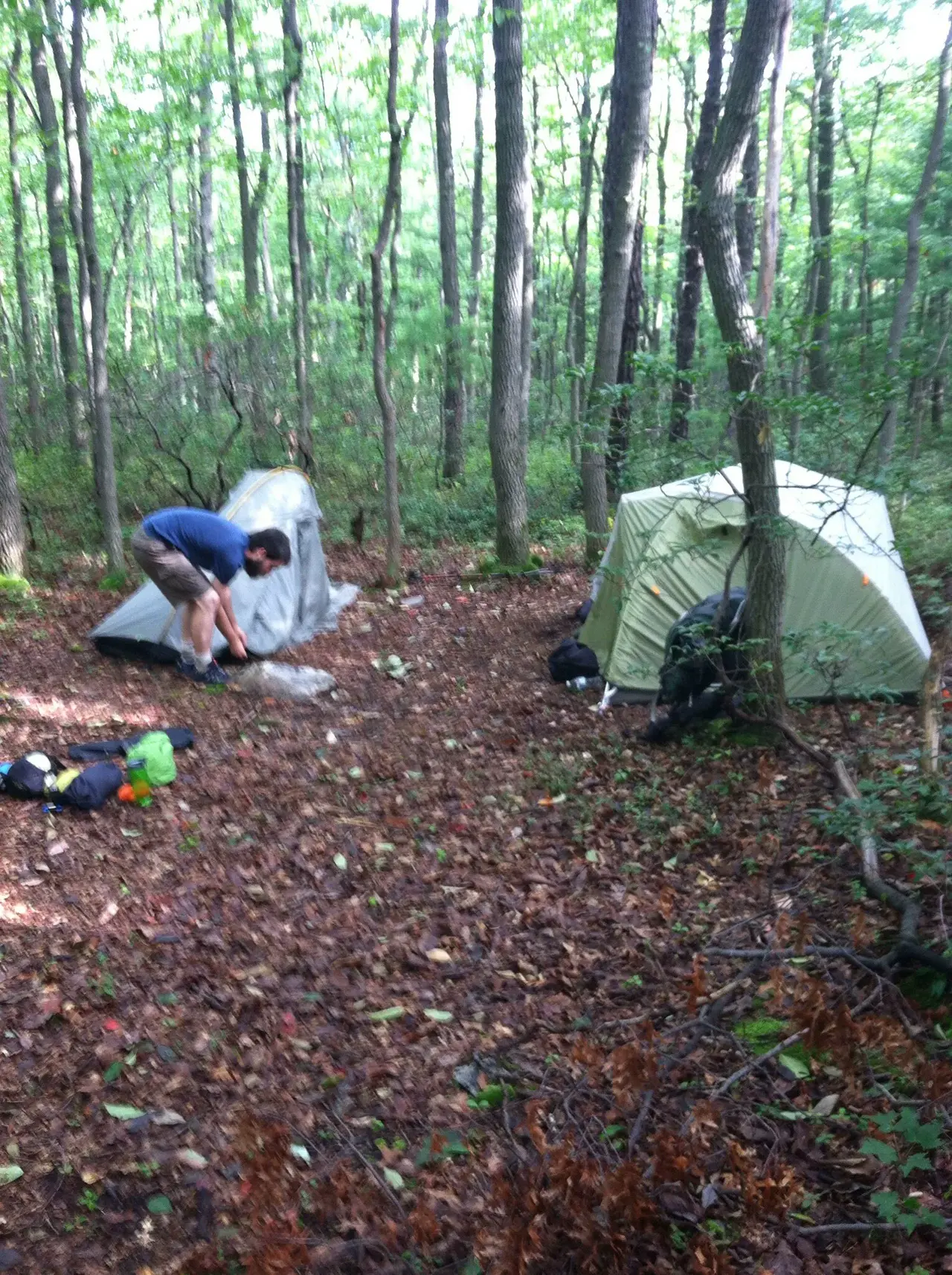 Photo on the Appalachian Trail near Boiling Springs, Maryland, July 27, 2012