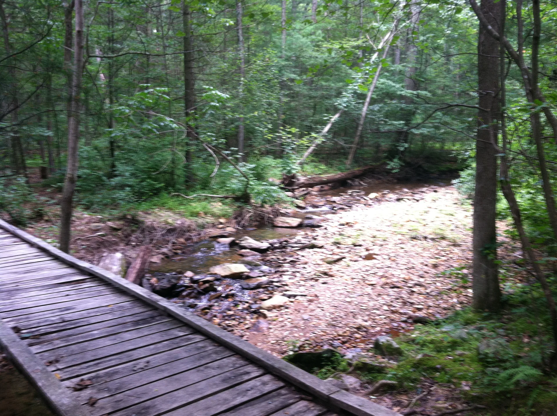 Photo on the Appalachian Trail near Boiling Springs, Maryland, July 27, 2012