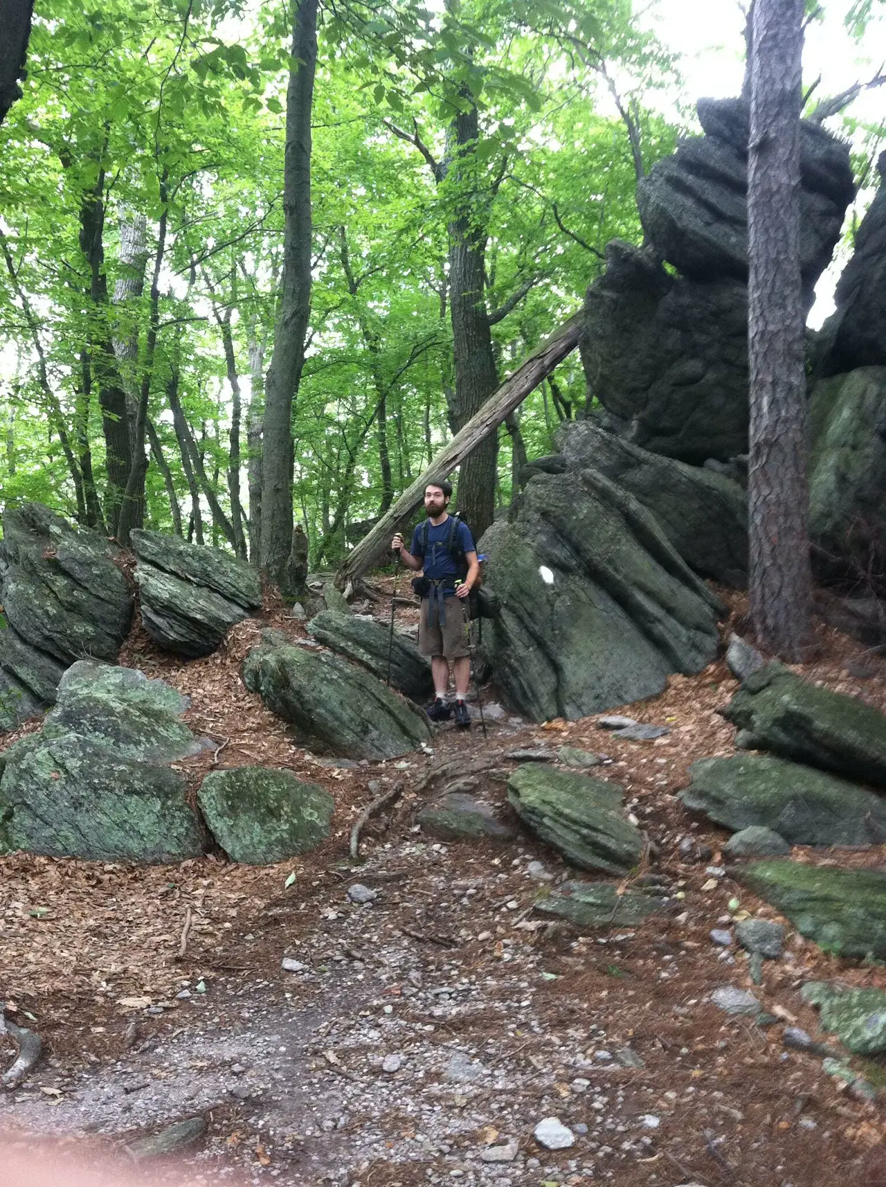 Photo on the Appalachian Trail near Boiling Springs, Maryland, July 28, 2012