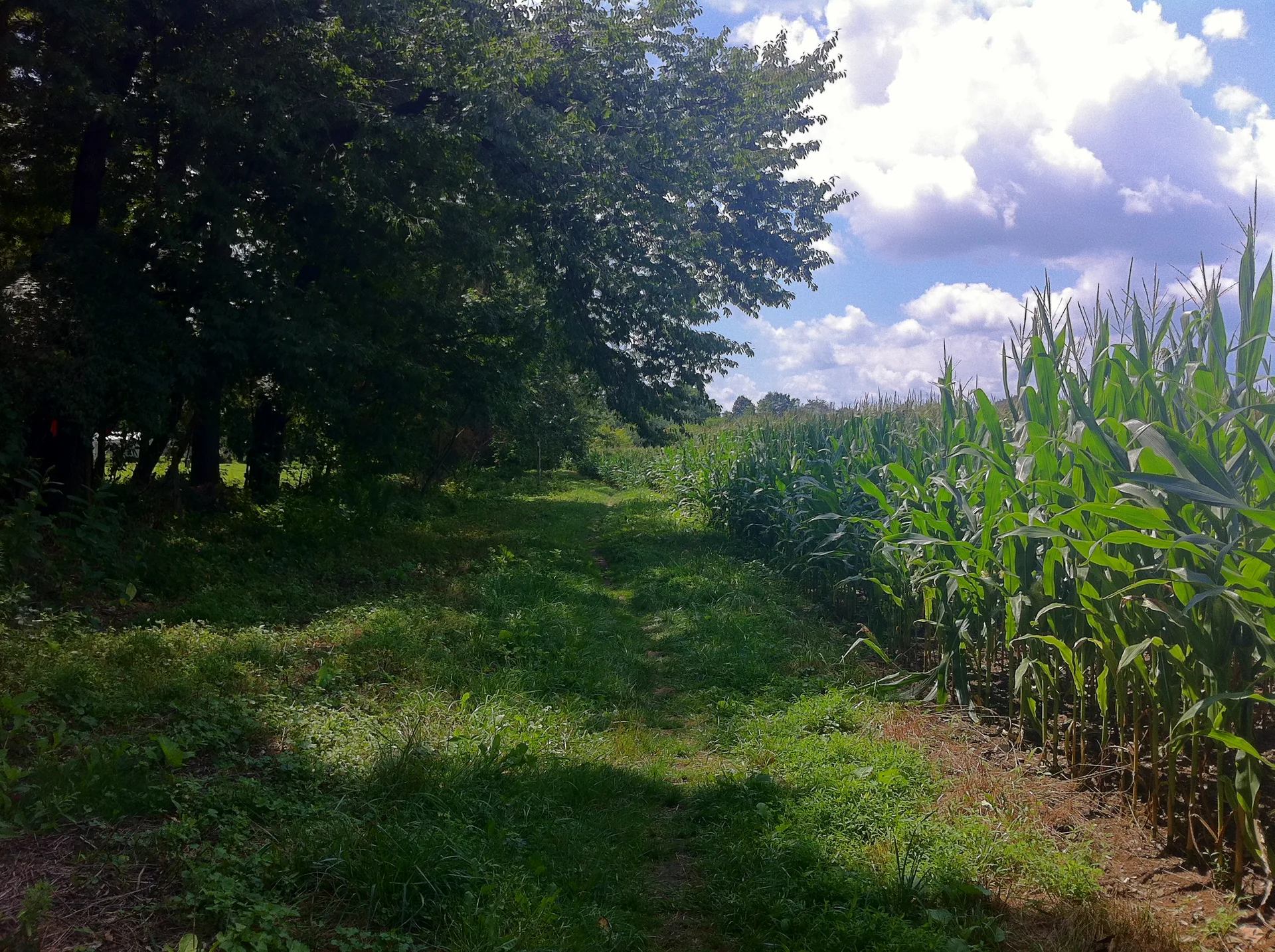 Photo on the Appalachian Trail near Boiling Springs, Pennsylvania, July 29, 2012
