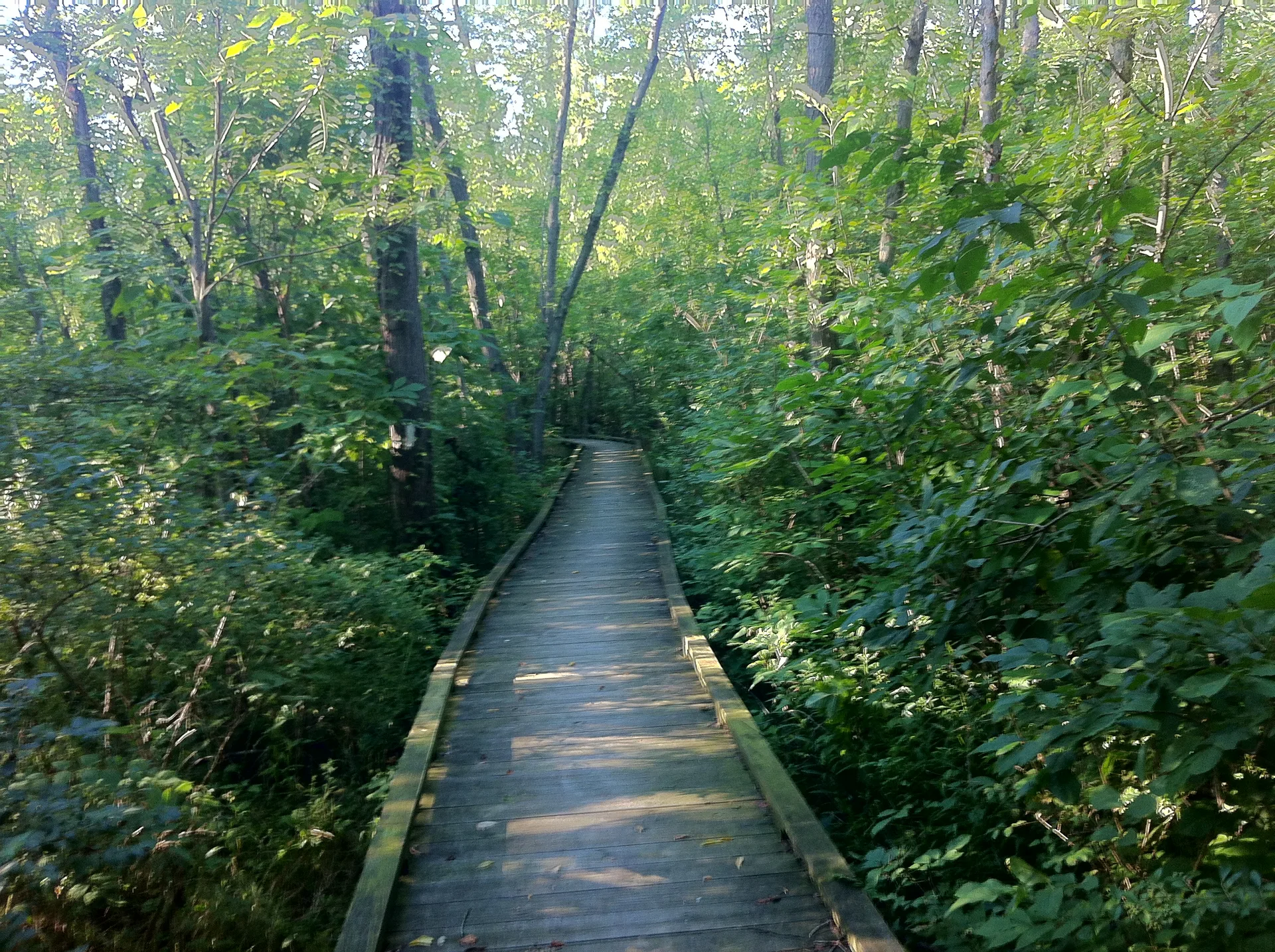 Photo on the Appalachian Trail near Boiling Springs, Pennsylvania, July 29, 2012