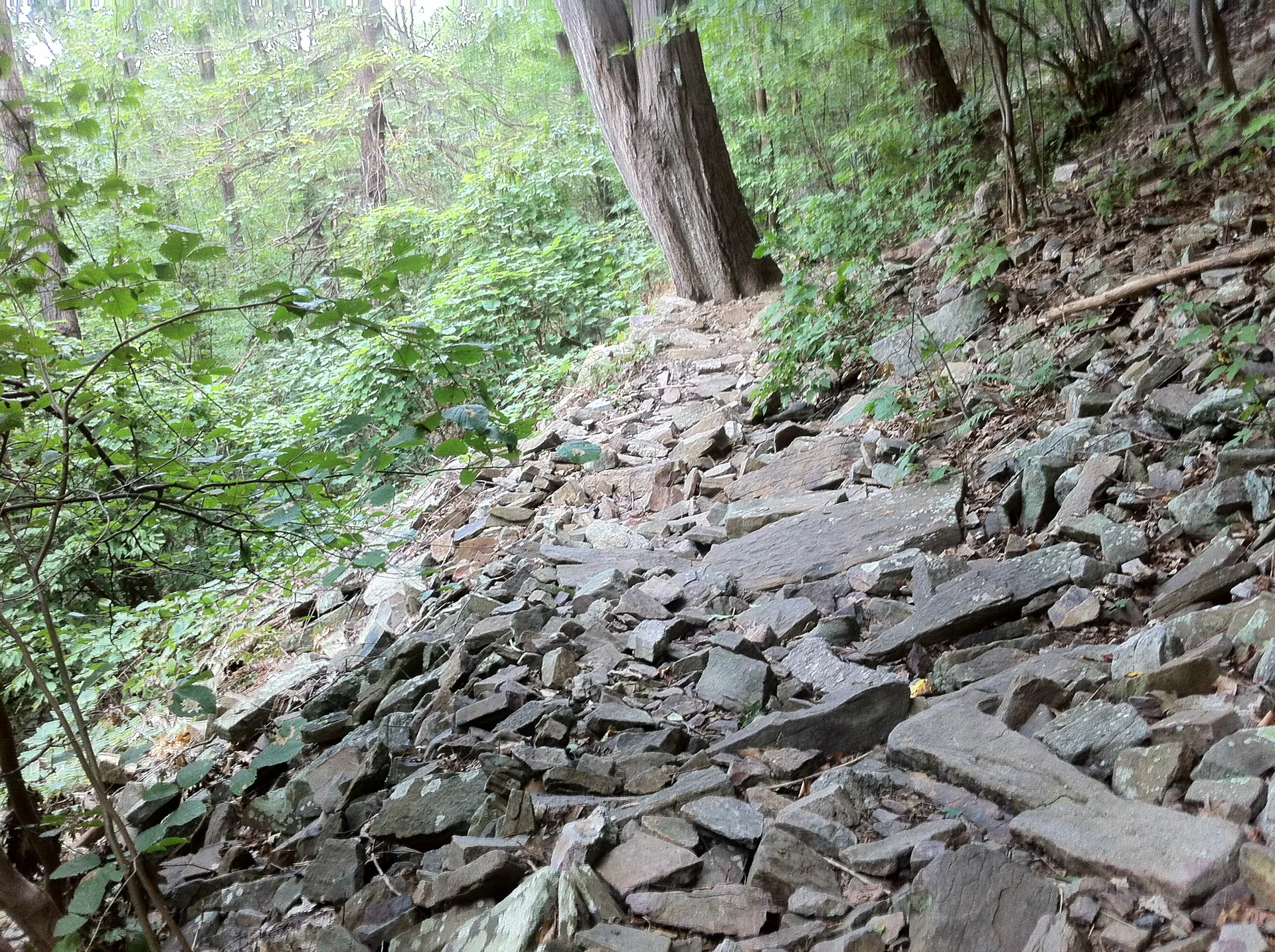 Photo on the Appalachian Trail near Boiling Springs, Pennsylvania, July 30, 2012