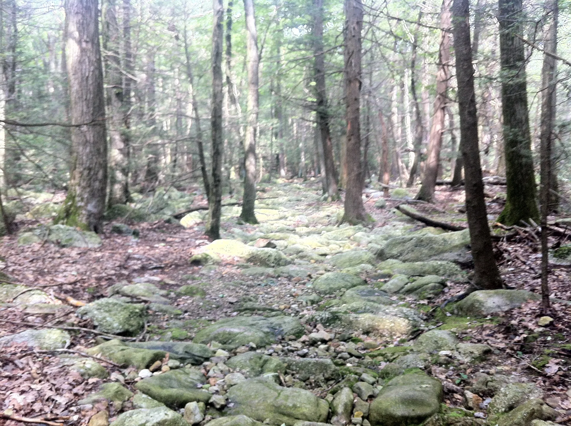 Photo on the Appalachian Trail near Duncannon, Pennsylvania, August 1, 2012