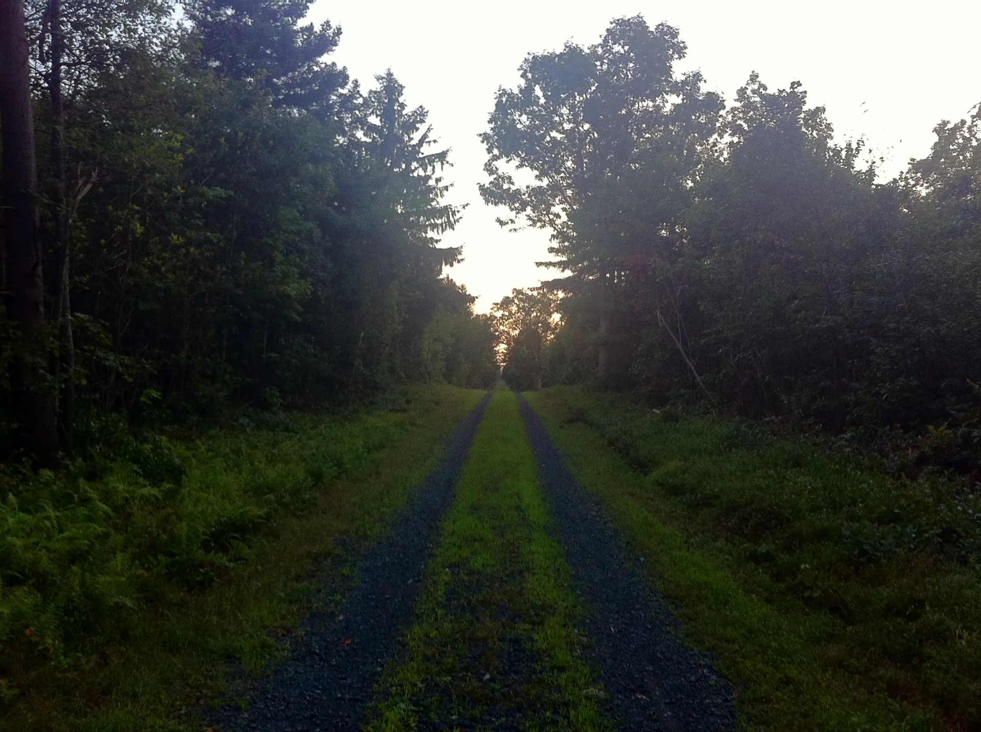Photo on the Appalachian Trail near Port Clinton, Pennsylvania, August 6, 2012