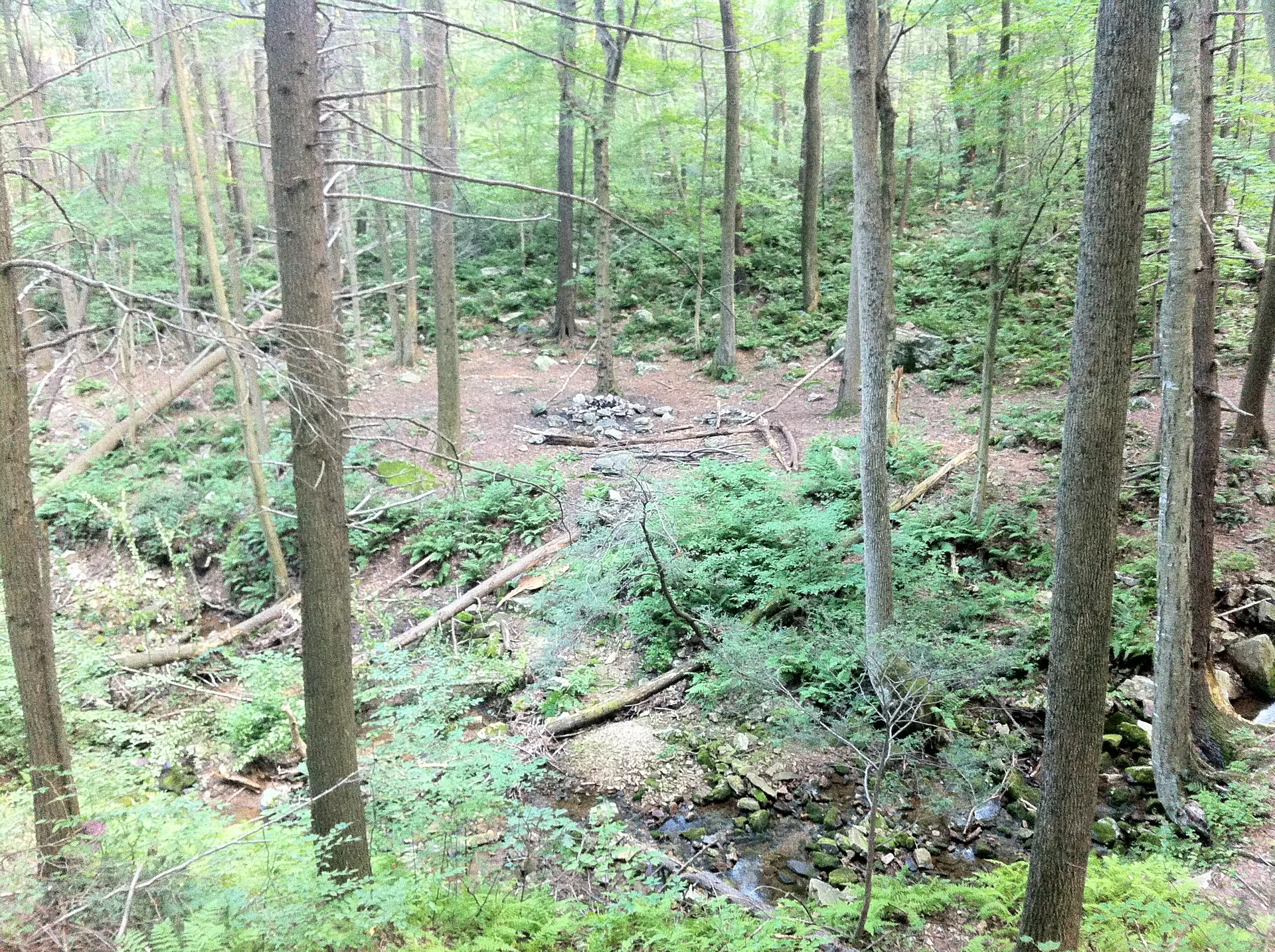 Photo on the Appalachian Trail near Port Clinton, Pennsylvania, August 8, 2012