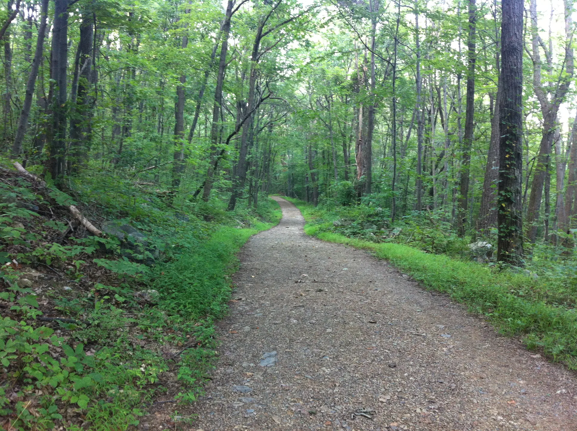 Photo on the Appalachian Trail near Port Clinton, Pennsylvania, August 8, 2012
