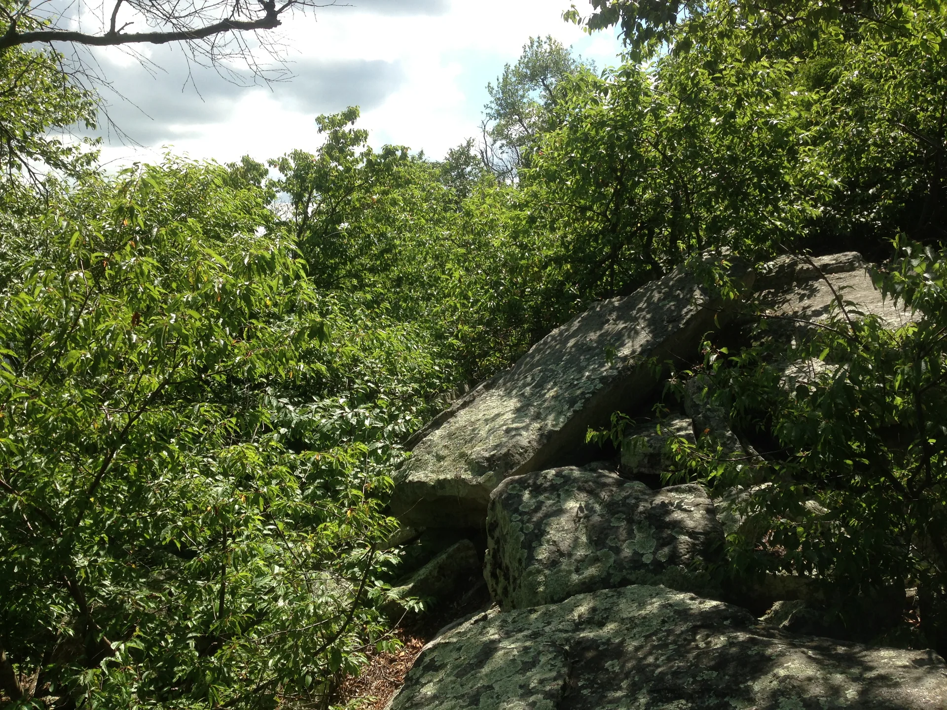 Photo on the Appalachian Trail near Lehigh Gap, Pennsylvania, June 23, 2013
