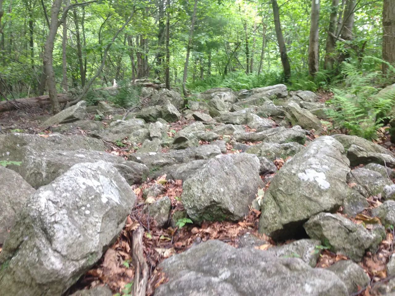 Photo on the Appalachian Trail near Delaware Water Gap, Pennsylvania, June 26, 2013