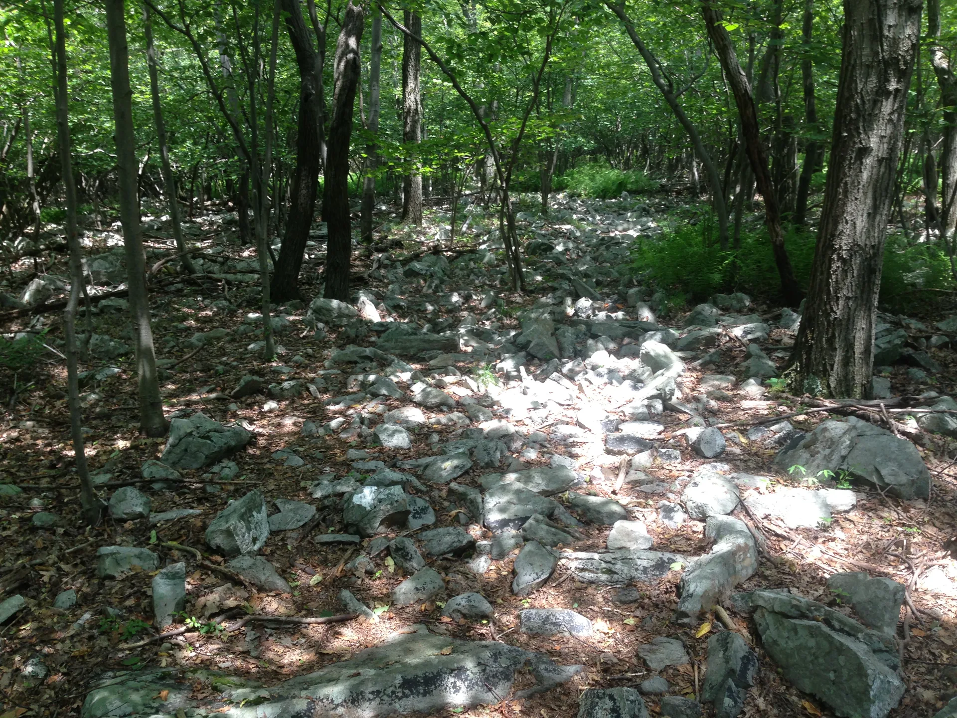 Photo on the Appalachian Trail near Delaware Water Gap, Pennsylvania, June 27, 2013