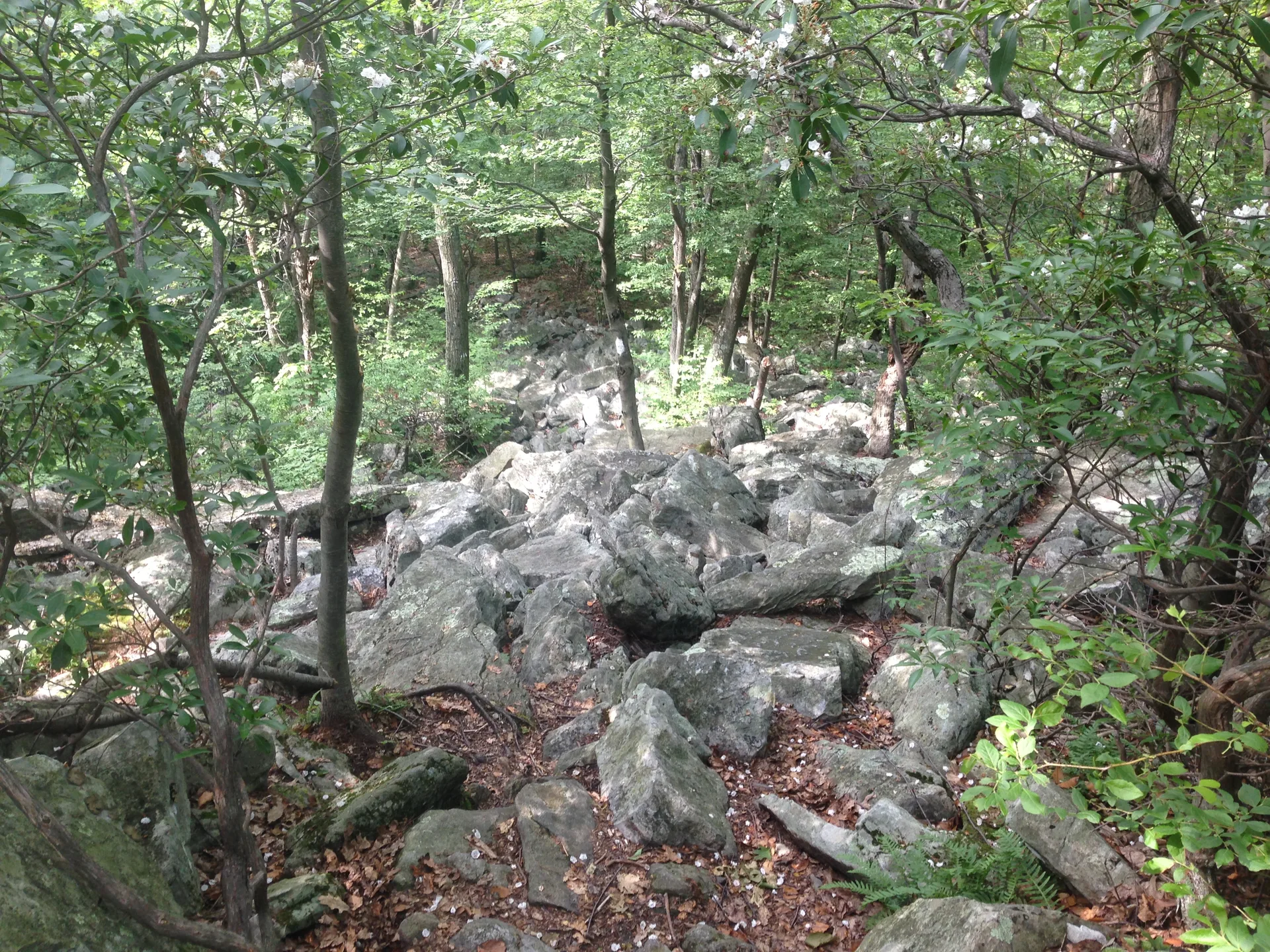 Photo on the Appalachian Trail near Delaware Water Gap, Pennsylvania, June 27, 2013