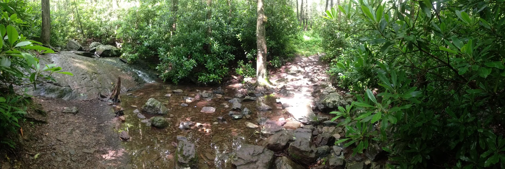 Photo on the Appalachian Trail near Delaware Water Gap, Pennsylvania, June 28, 2013