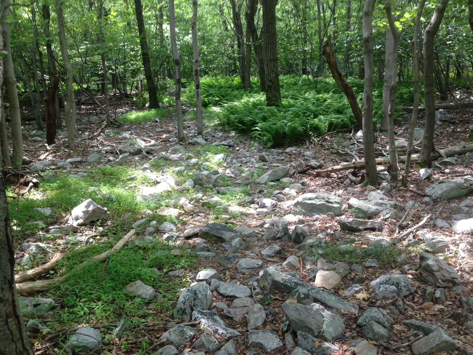 Photo on the Appalachian Trail near Delaware Water Gap, Pennsylvania, June 27, 2013