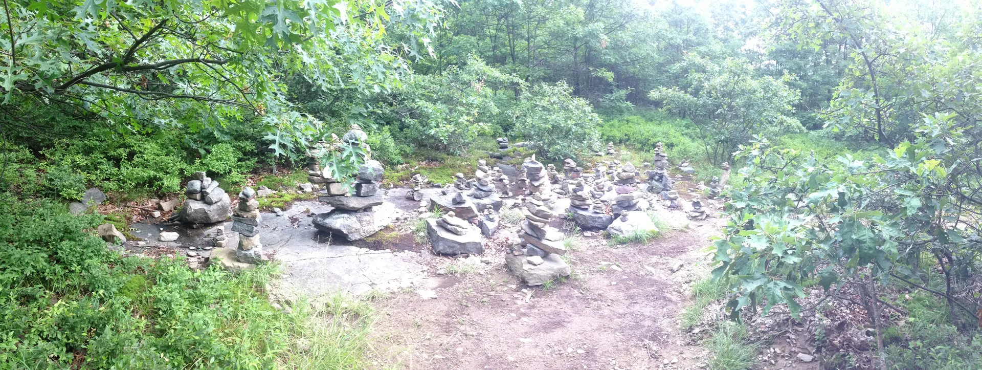 Photo on the Appalachian Trail near Sunfish Pond, New Jersey, June 29, 2013