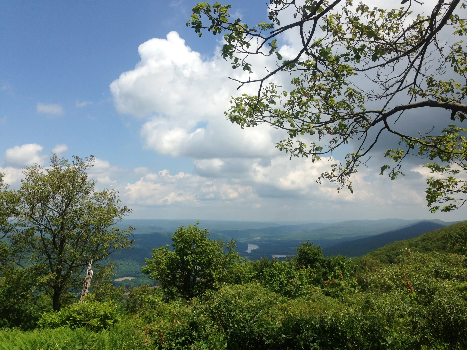 Photo on the Appalachian Trail near Sunfish Pond, New Jersey, June 29, 2013