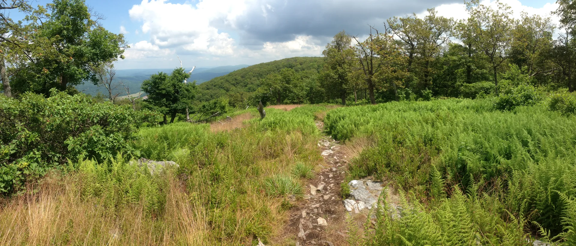 Photo on the Appalachian Trail near Sunfish Pond, New Jersey, June 29, 2013