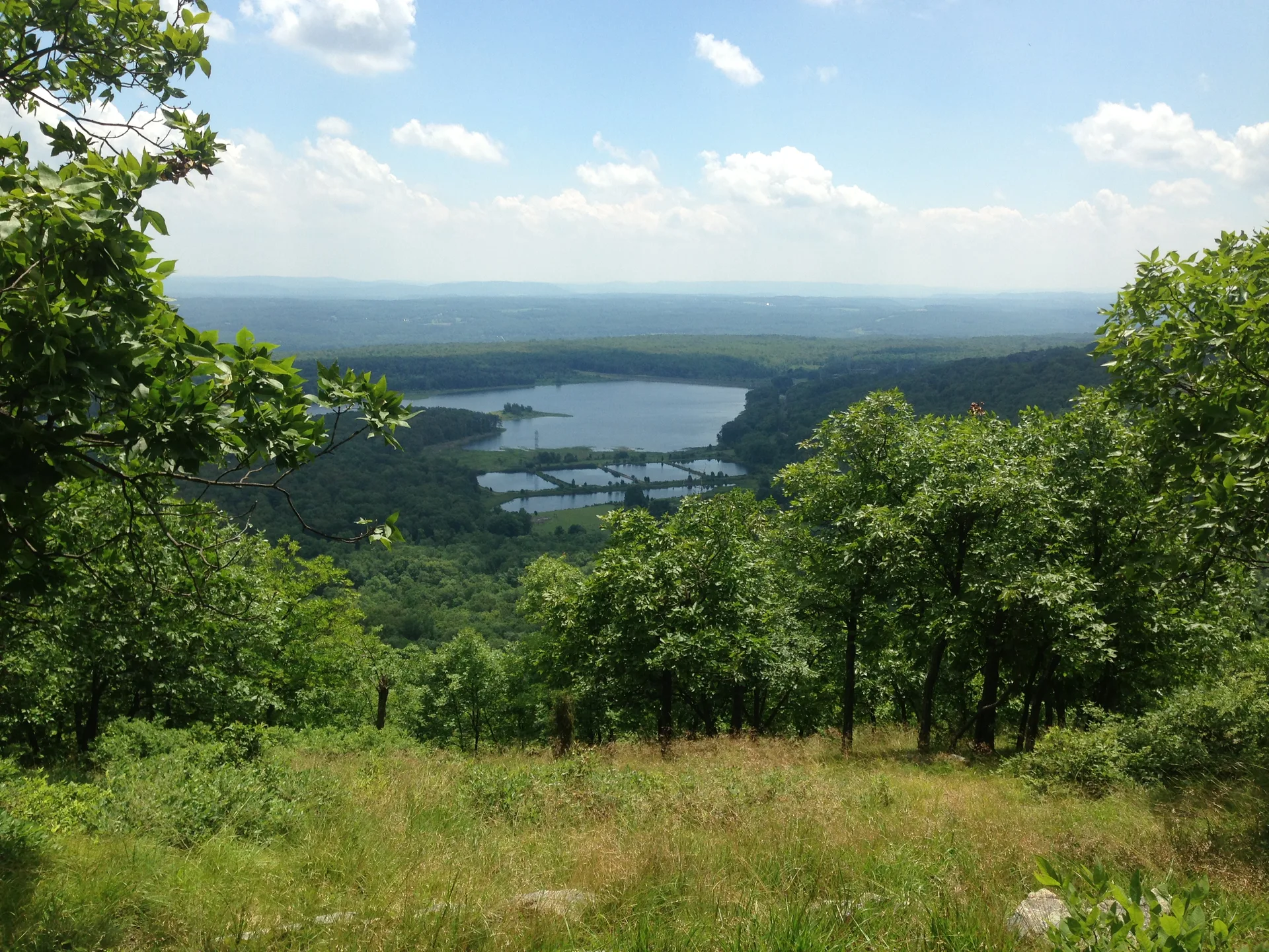 Photo on the Appalachian Trail near Sunfish Pond, New Jersey, June 29, 2013